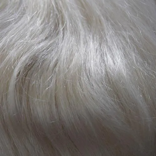 Accessories_Wigpro Collection_Wigs 114 Sunny II H/T by WIGPRO -  Mono Top, Hand-Tied Wig