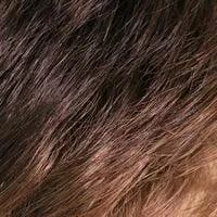 Accessories_Wigpro Collection_Wigs 504 Anemone: Synthetic Wig by WIGPRO