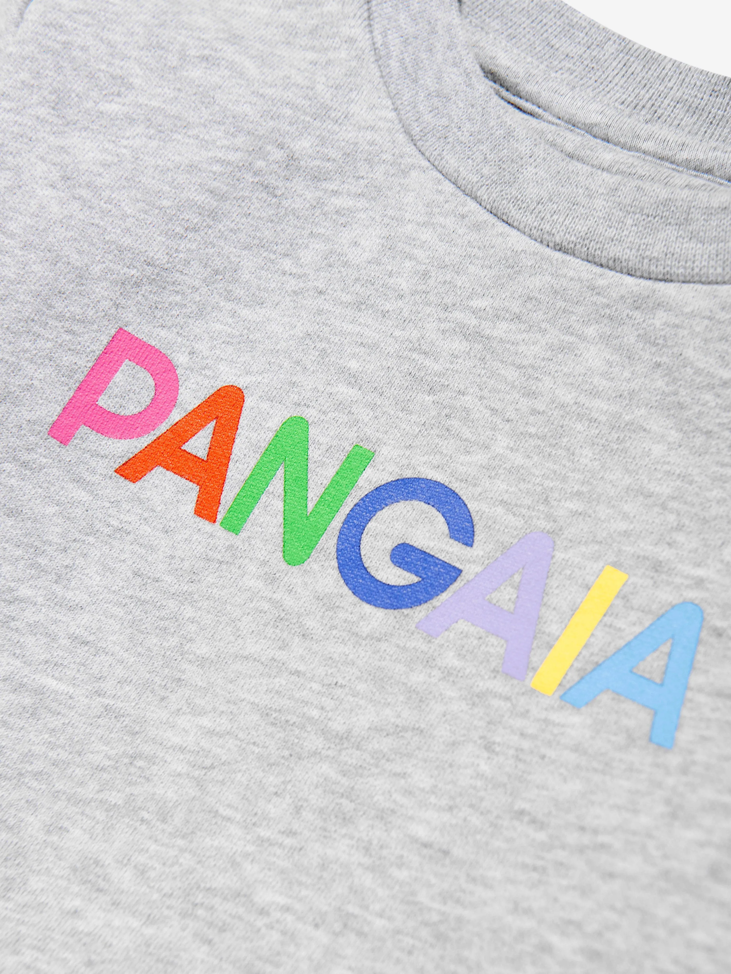 Baby 365 Graphic Sweatshirt in Grey