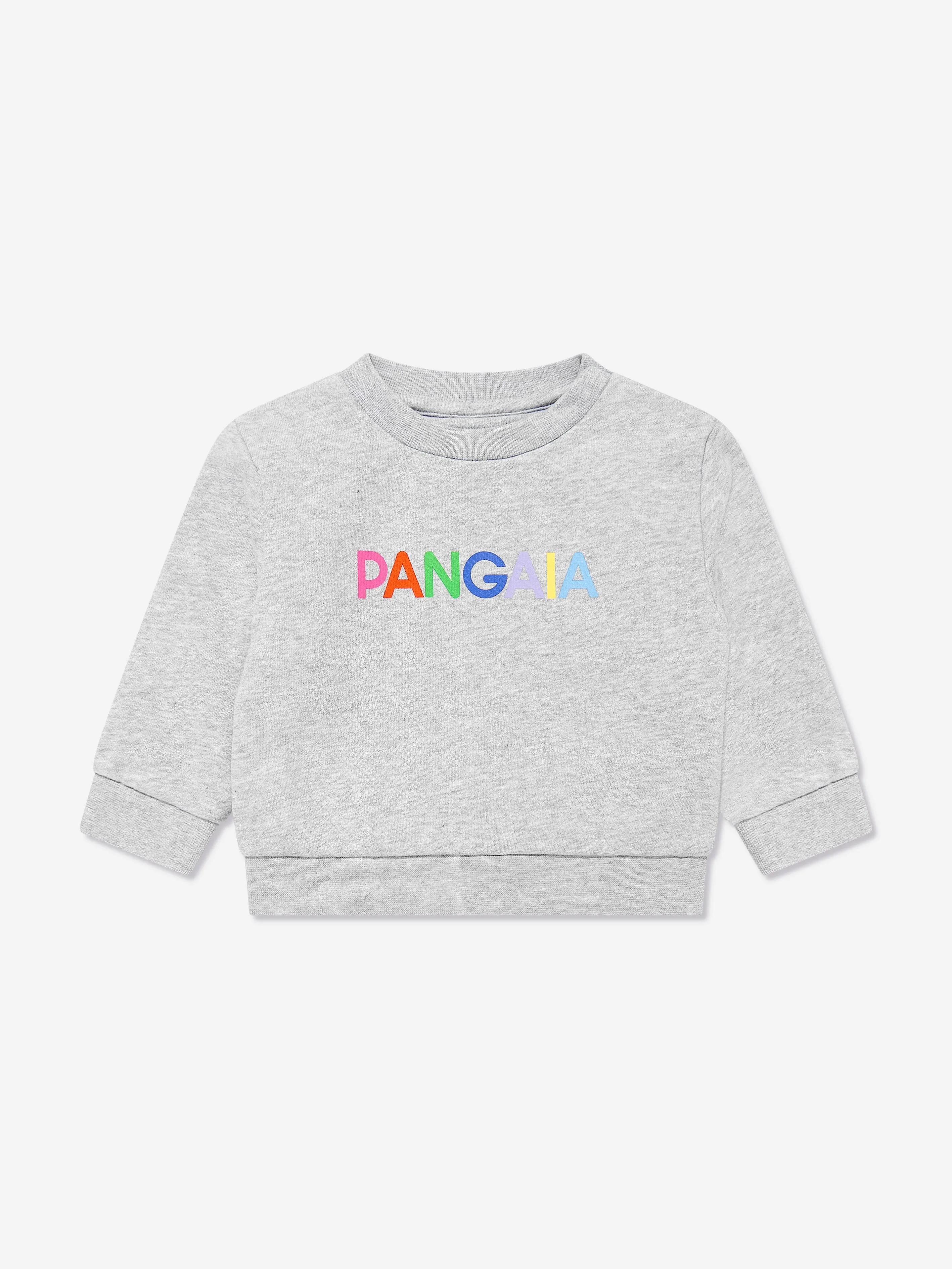 Baby 365 Graphic Sweatshirt in Grey