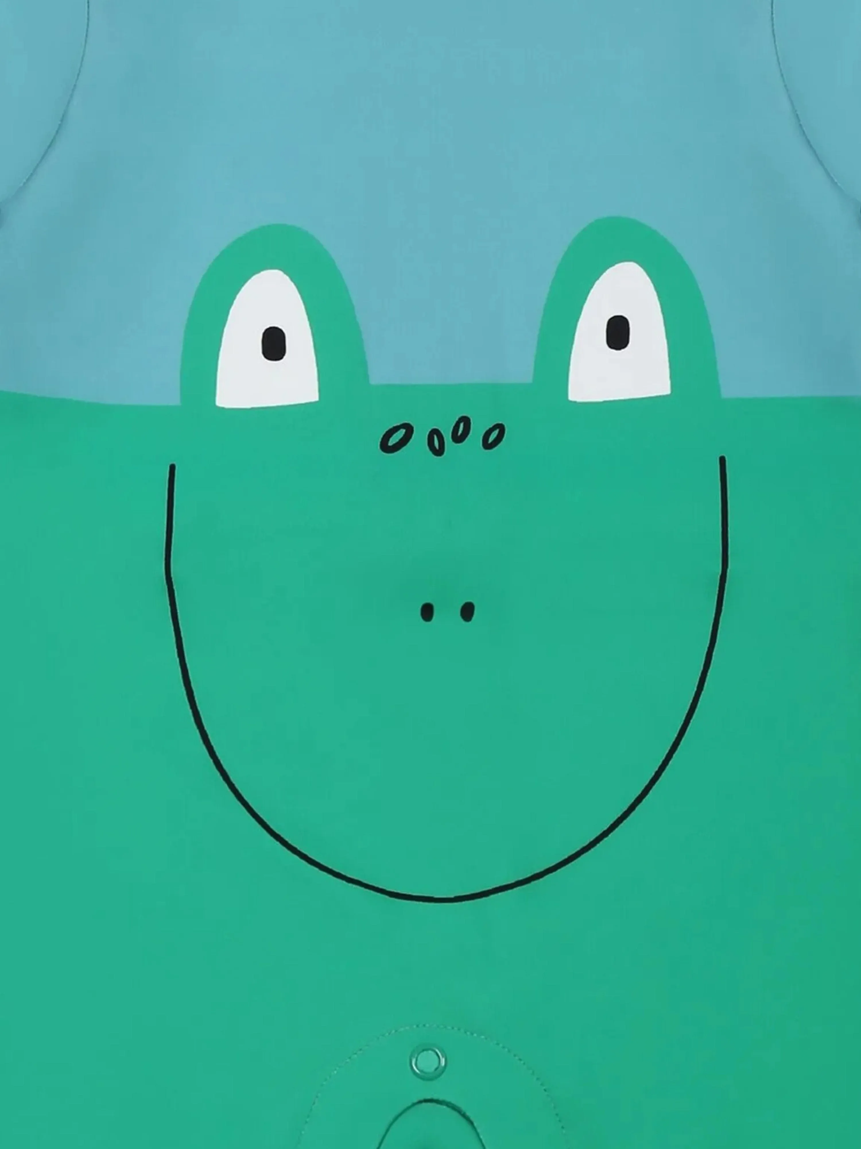 Baby Boys Frog All In One Swimsuit in Green