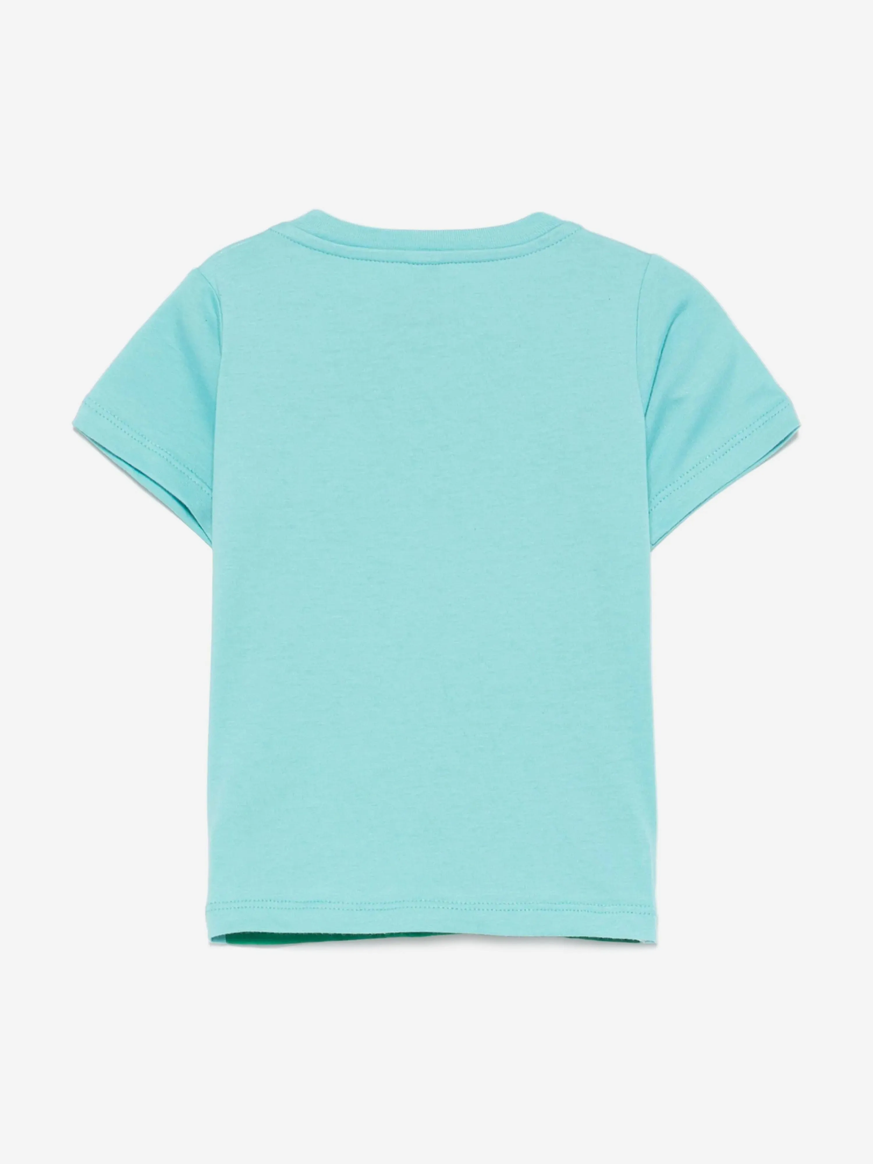 Baby Boys Frog T-Shirt in Green