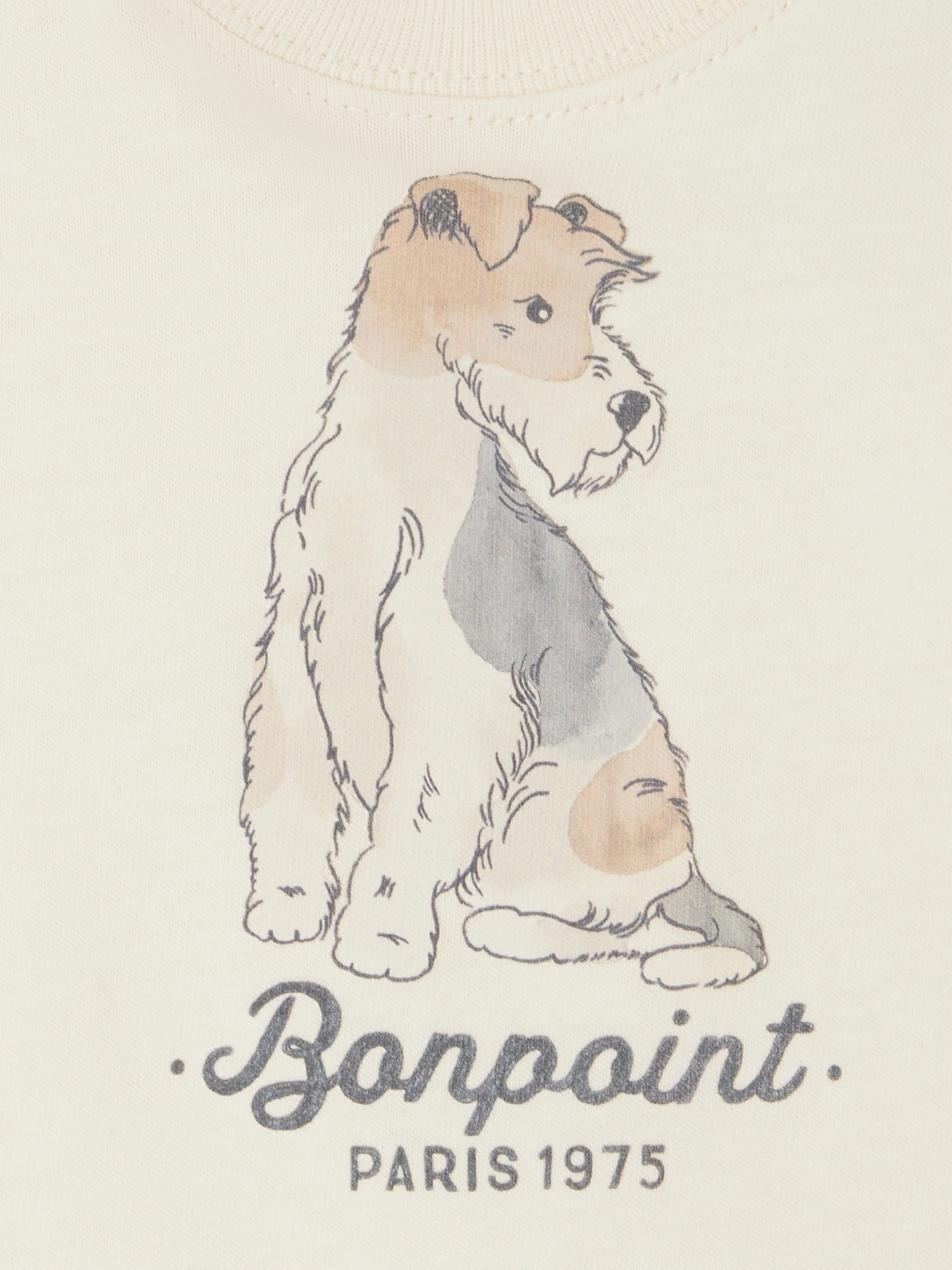 Baby Boys Tom T-Shirt in Ivory