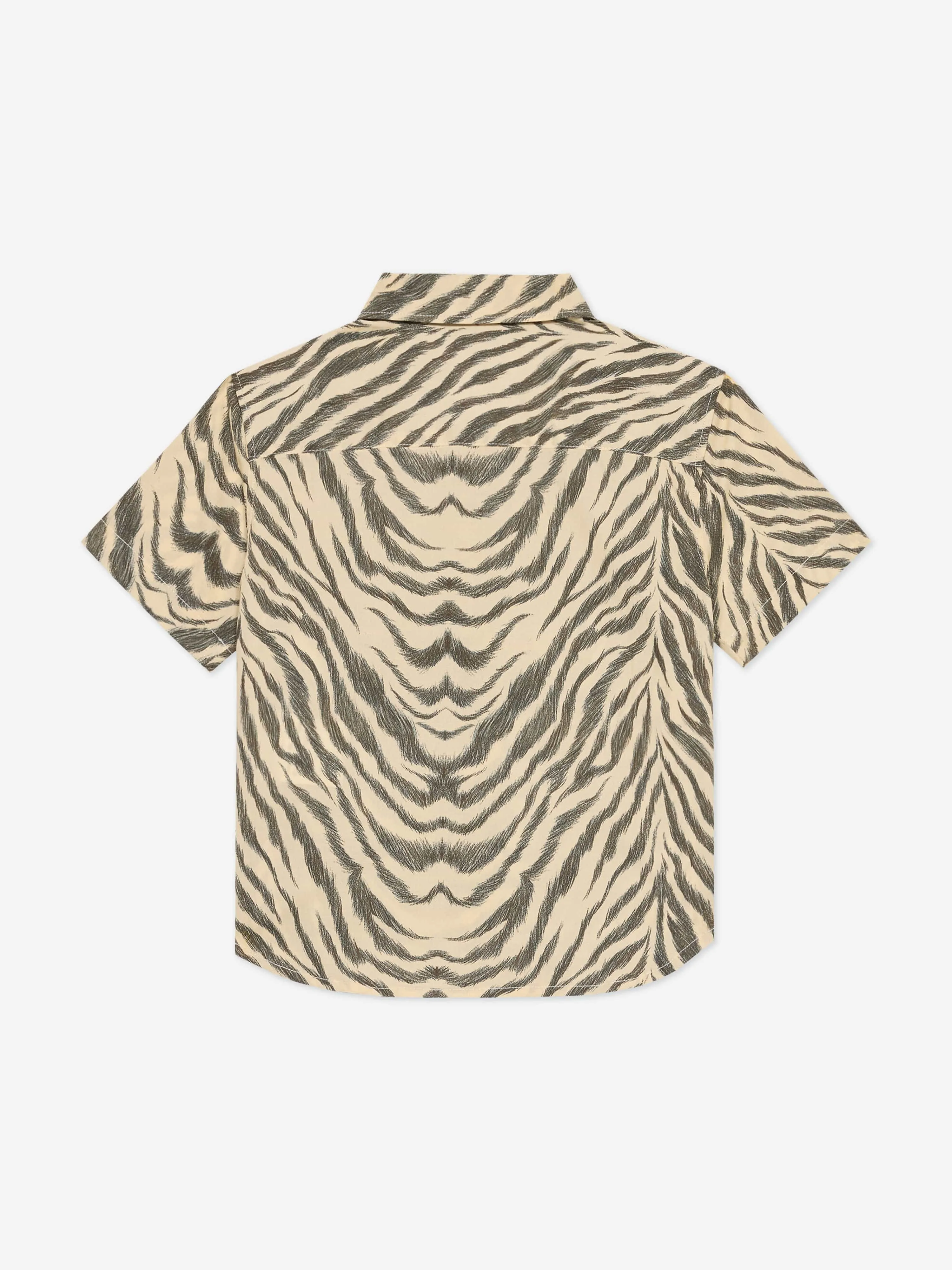 Baby Boys Zebra Print Shirt in Brown