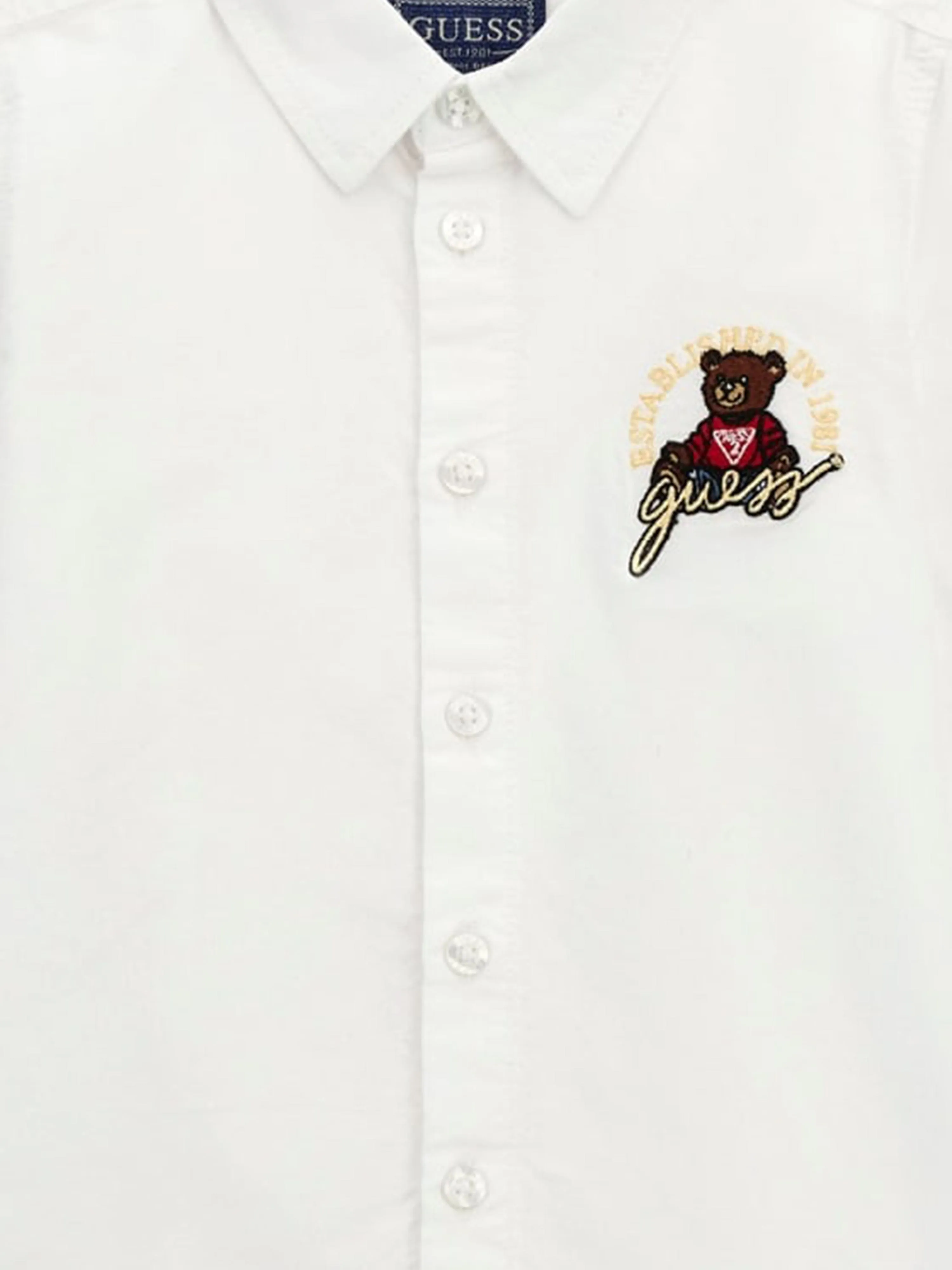 Boys Bear Oxford Shirt in White
