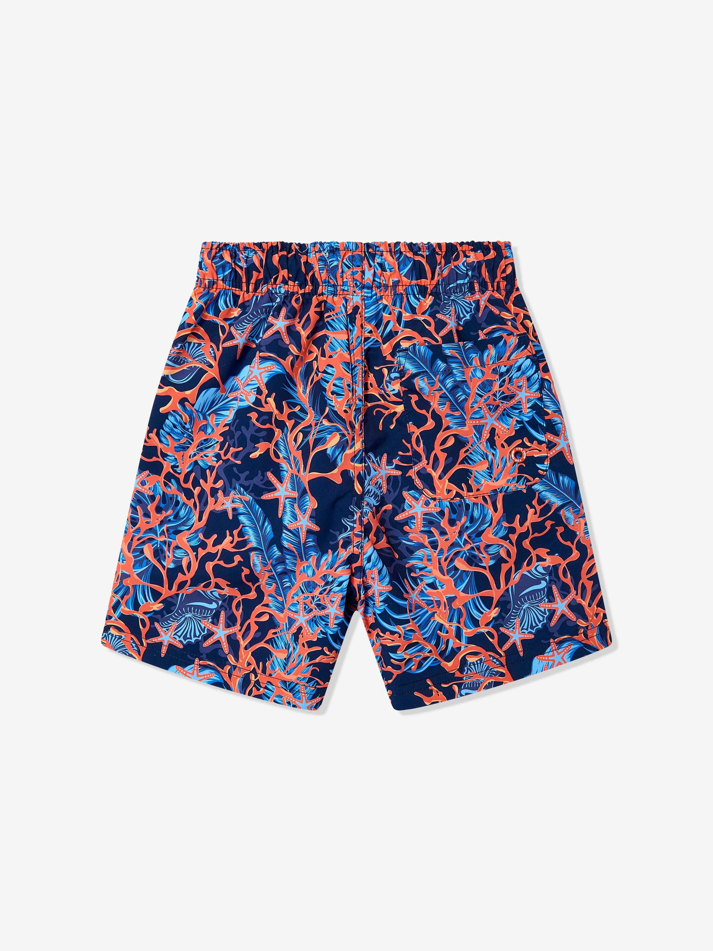 Boys Coral Beach Shorts in Blue (UPF50 )