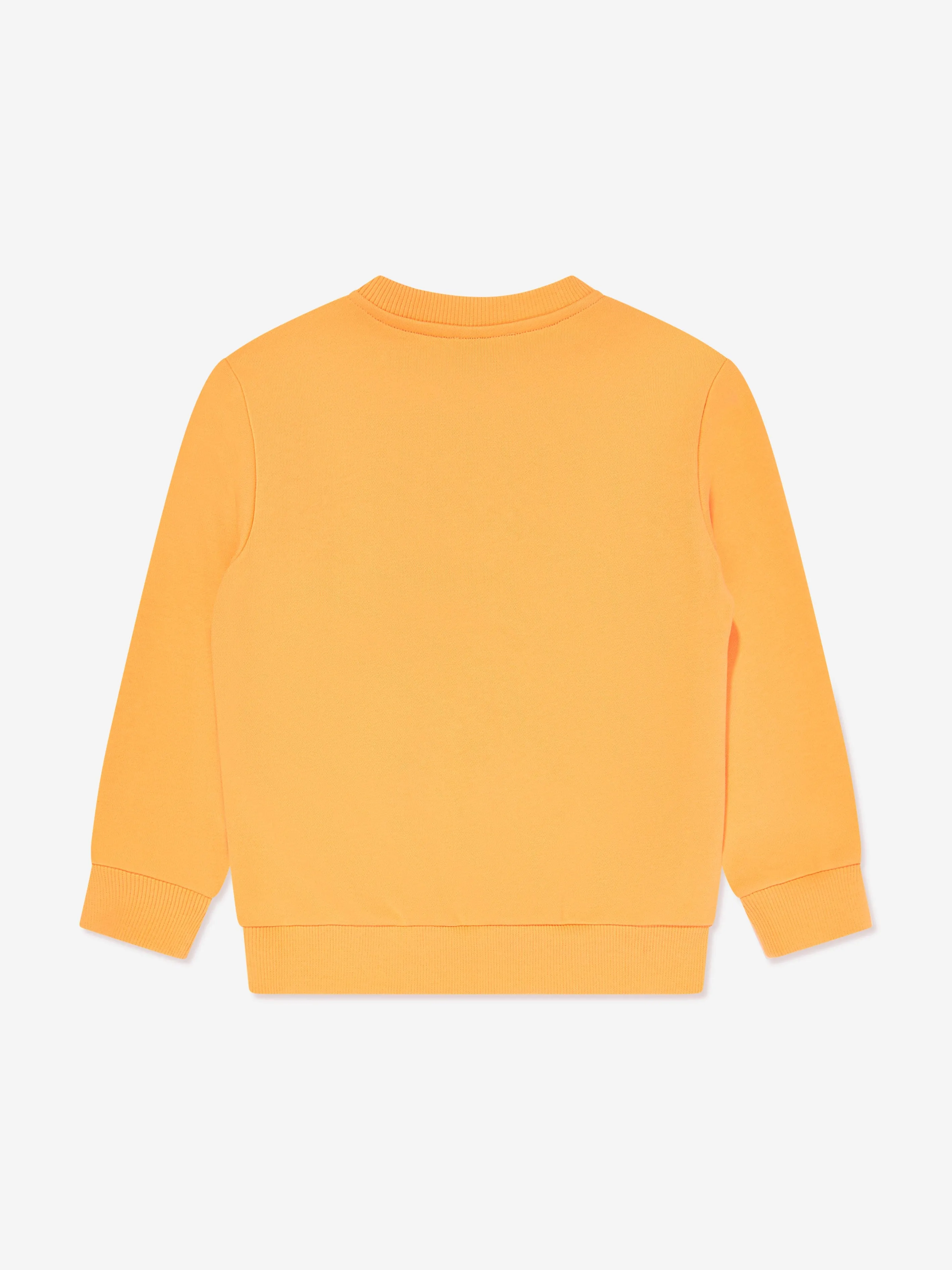 Boys Logo Sweatshirt in Orange