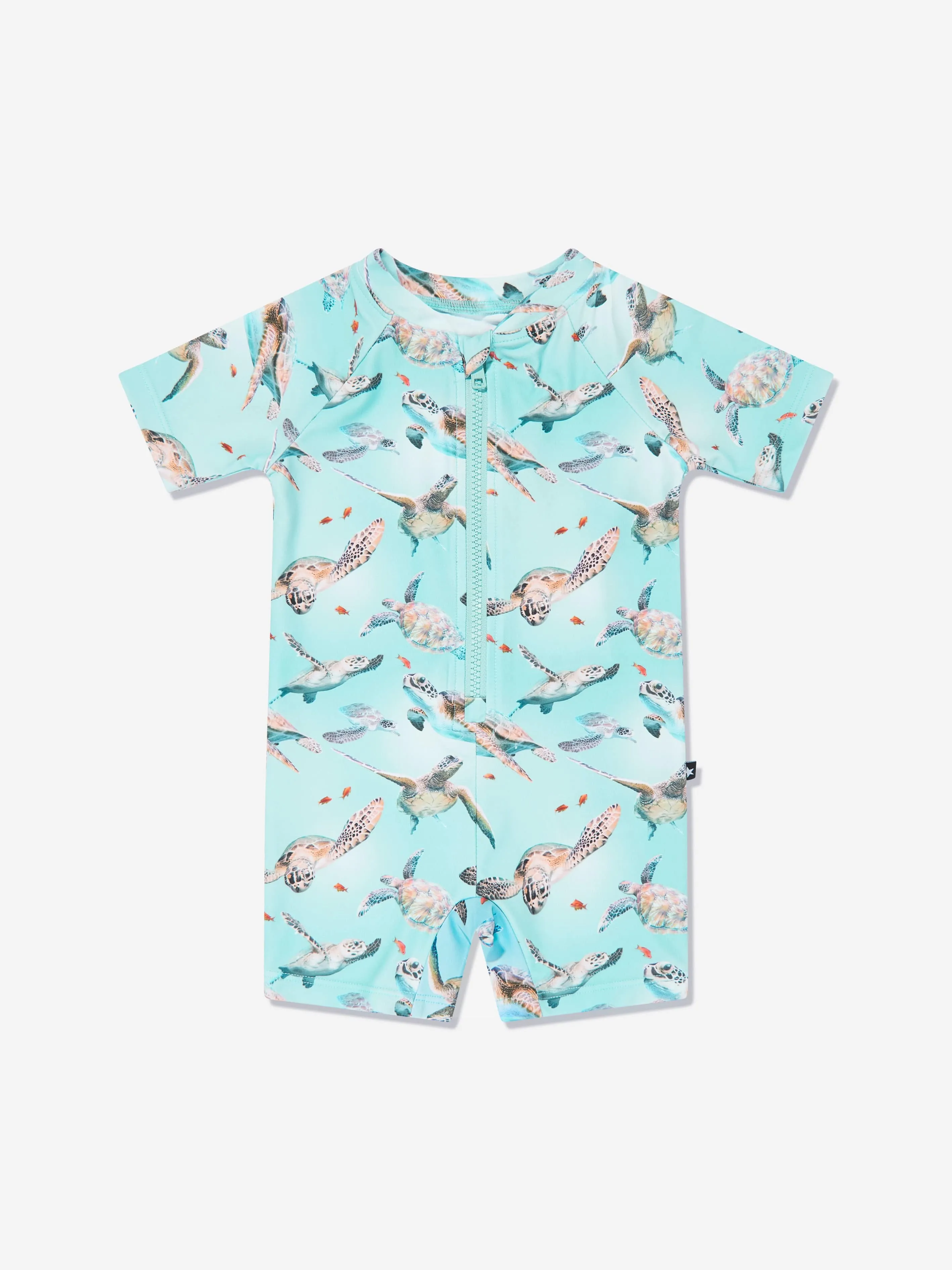 Boys Neka Turtles Swimsuit in Blue (UPF50 )
