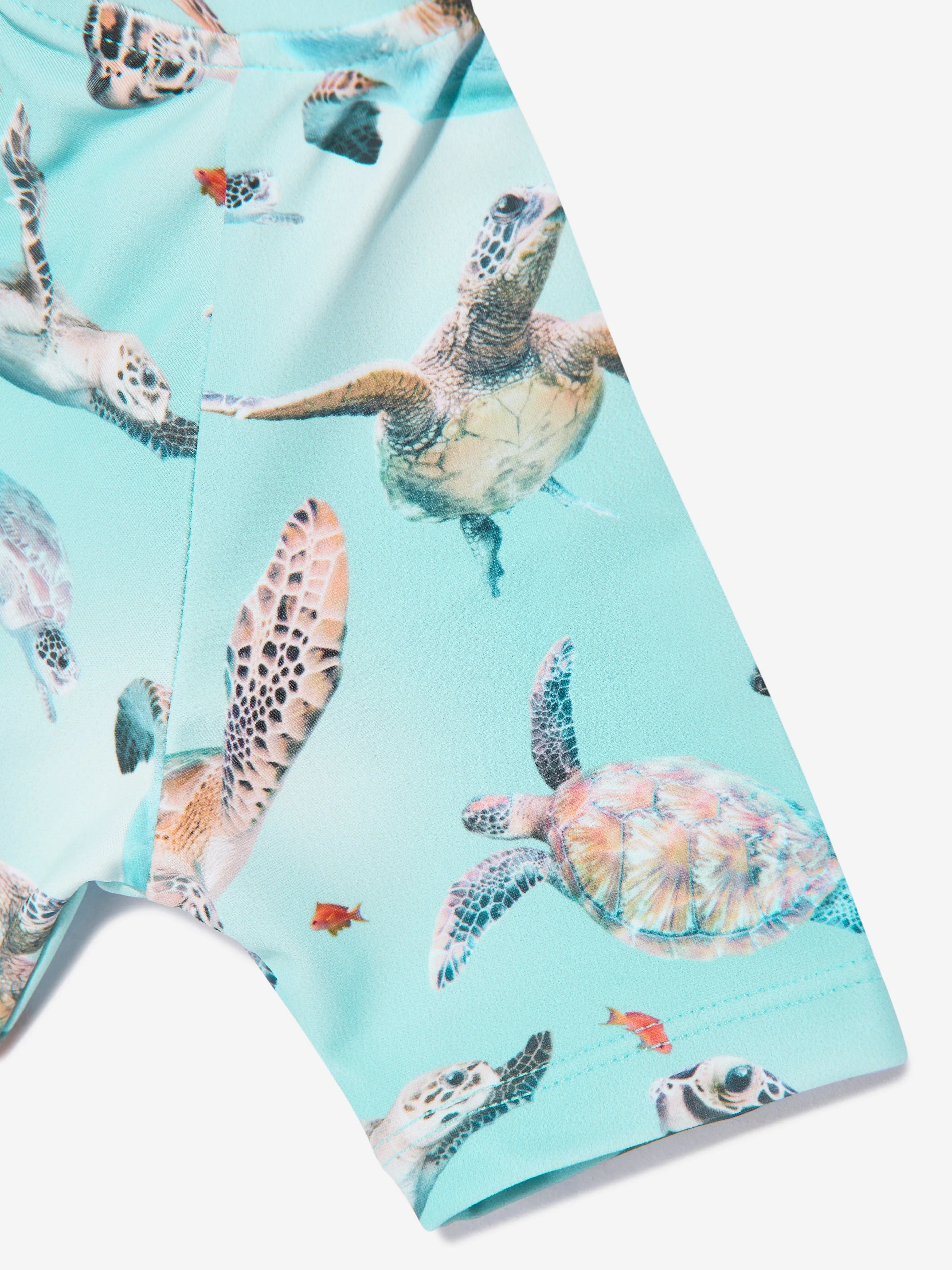 Boys Neka Turtles Swimsuit in Blue (UPF50 )
