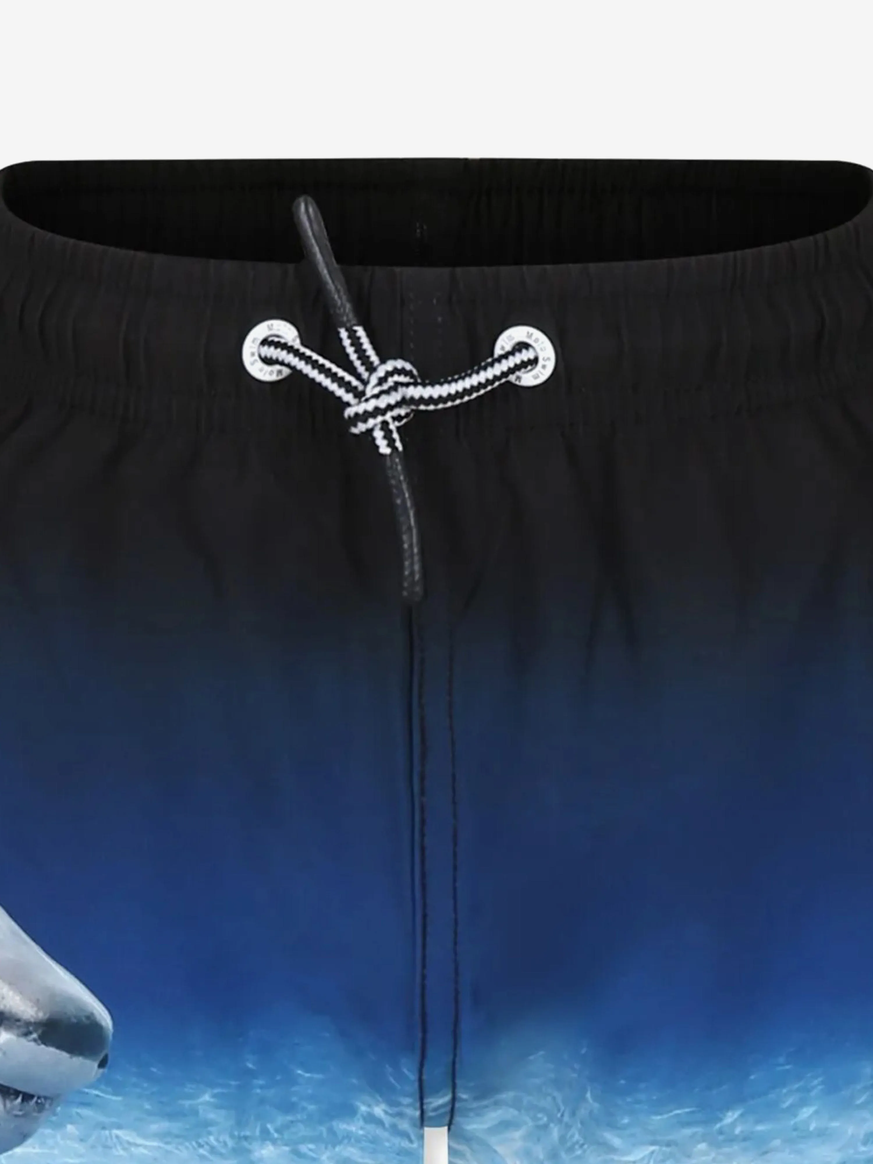Boys Niko Faded Shark Swim Shorts in Blue (UPF50 )