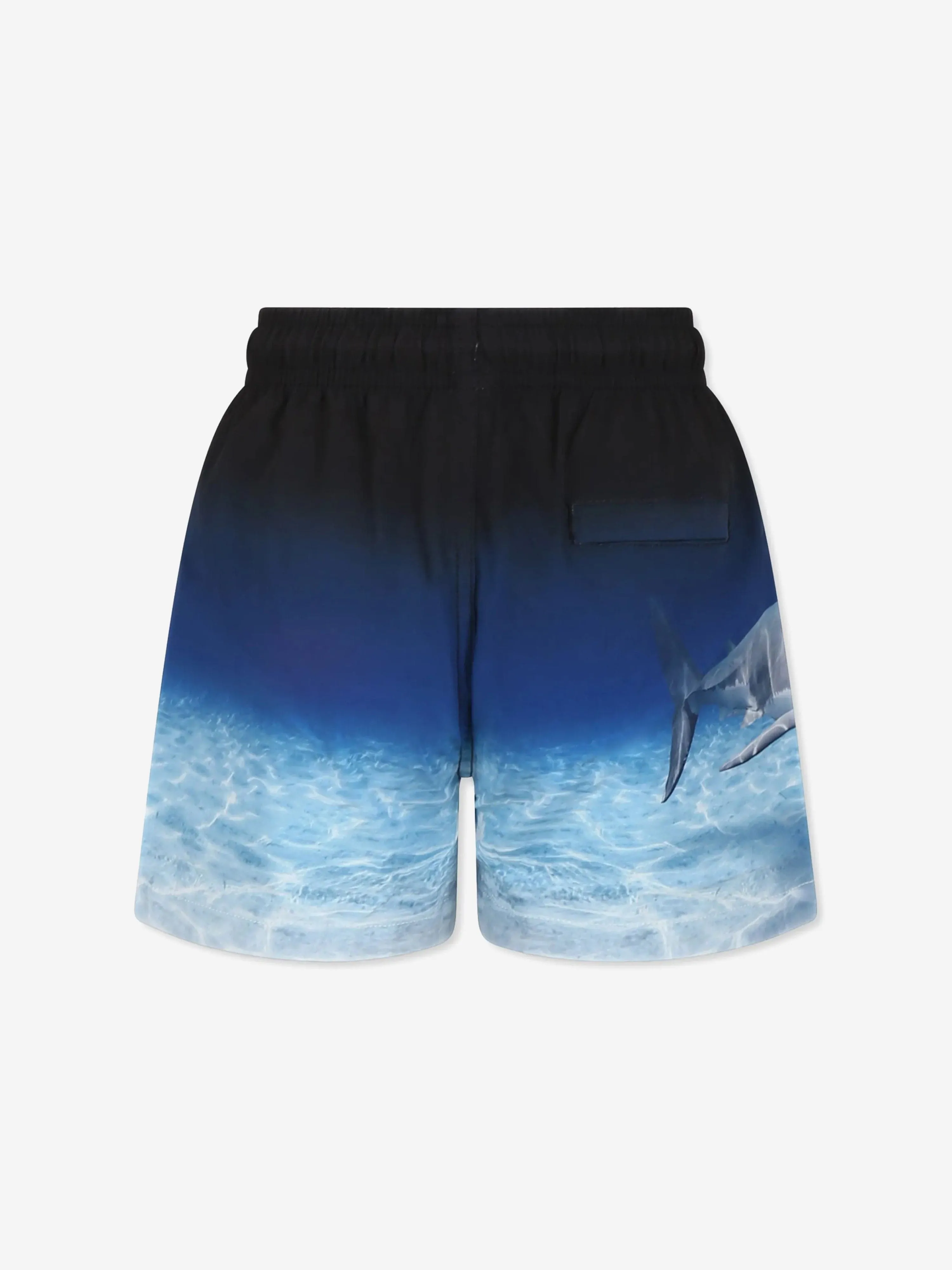 Boys Niko Faded Shark Swim Shorts in Blue (UPF50 )