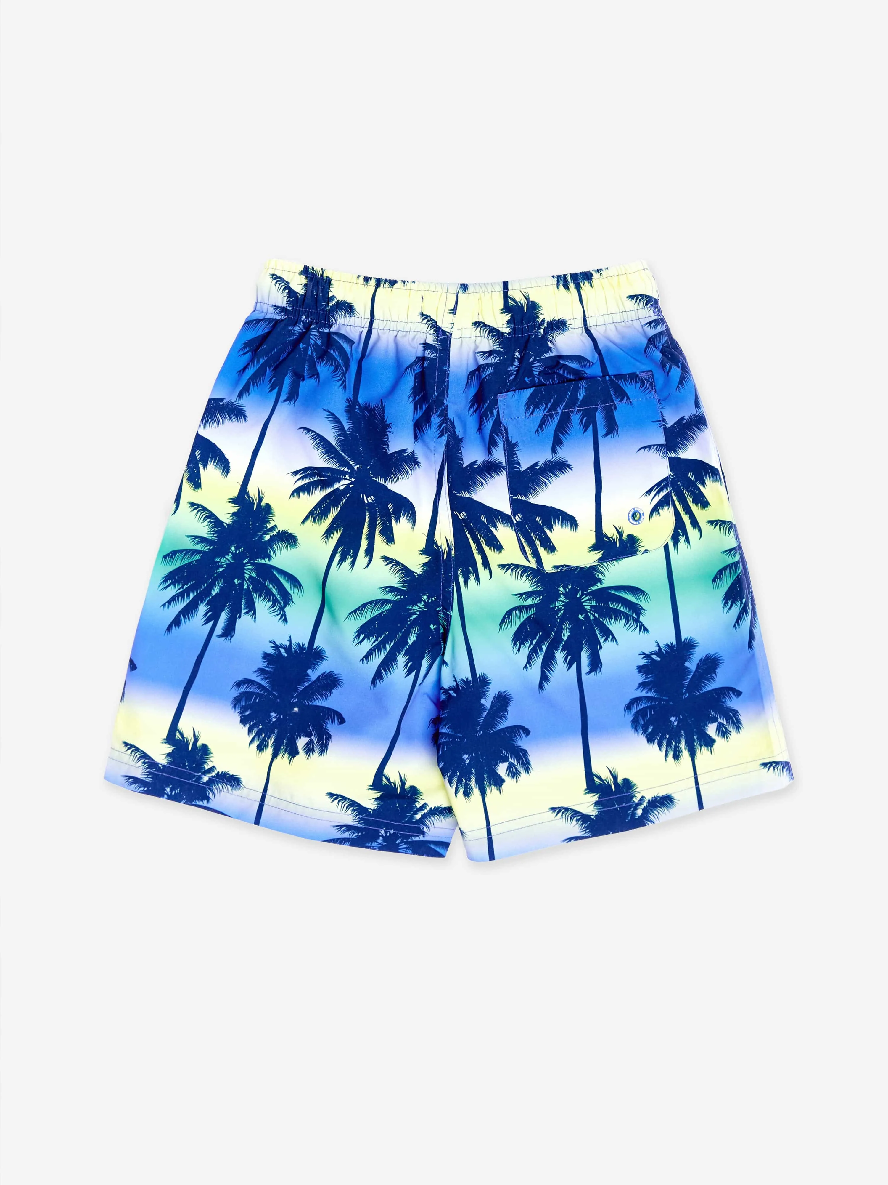 Boys Palm Tree Beach Shorts in Blue (UPF50 )