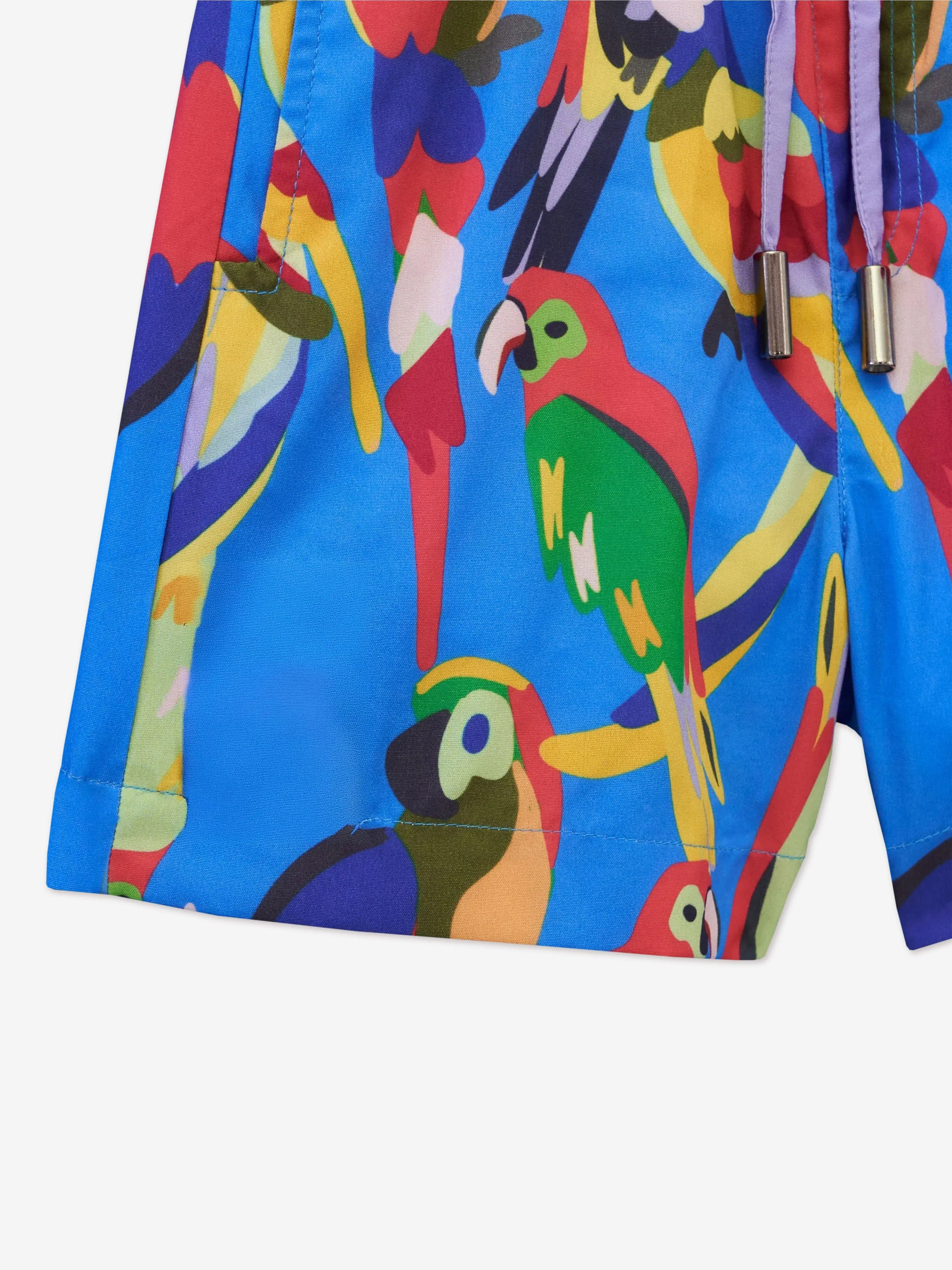 Boys Parrot Swim Shorts in Blue (UPF50 )