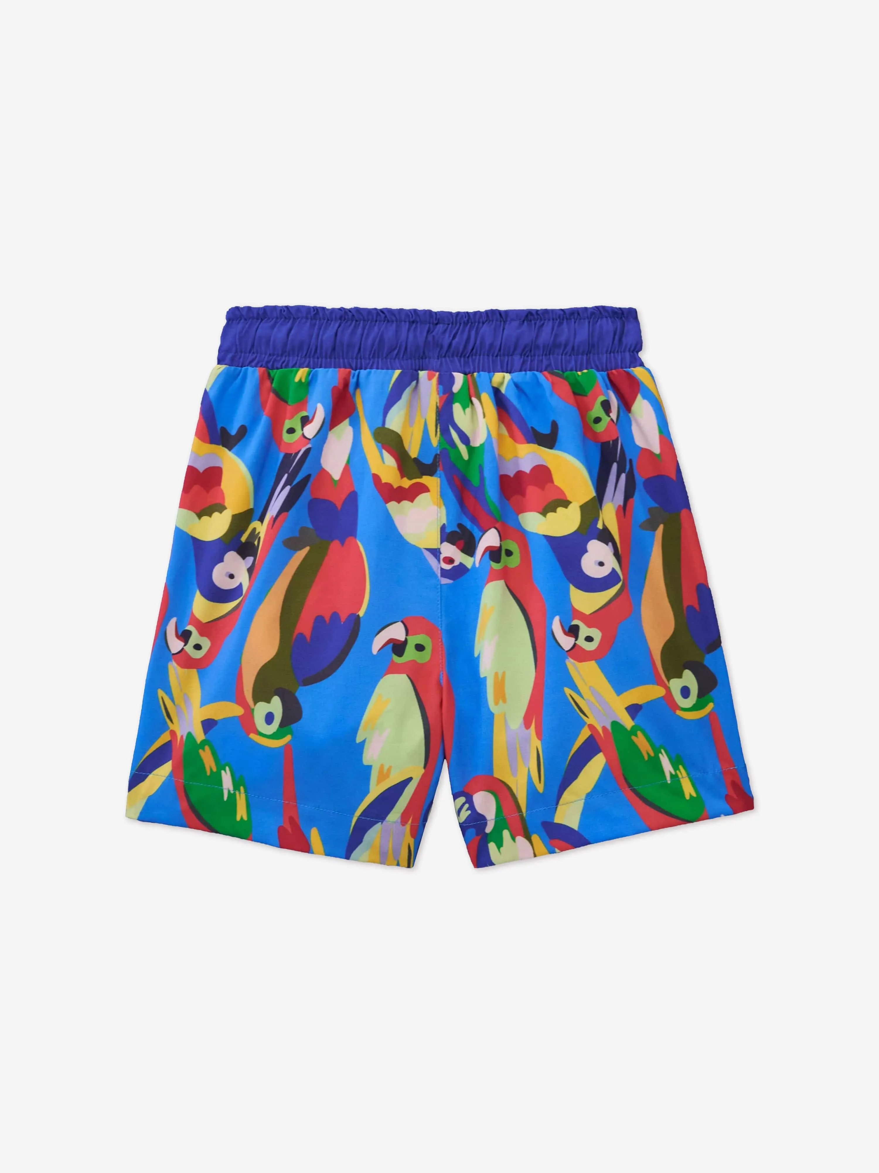Boys Parrot Swim Shorts in Blue (UPF50 )