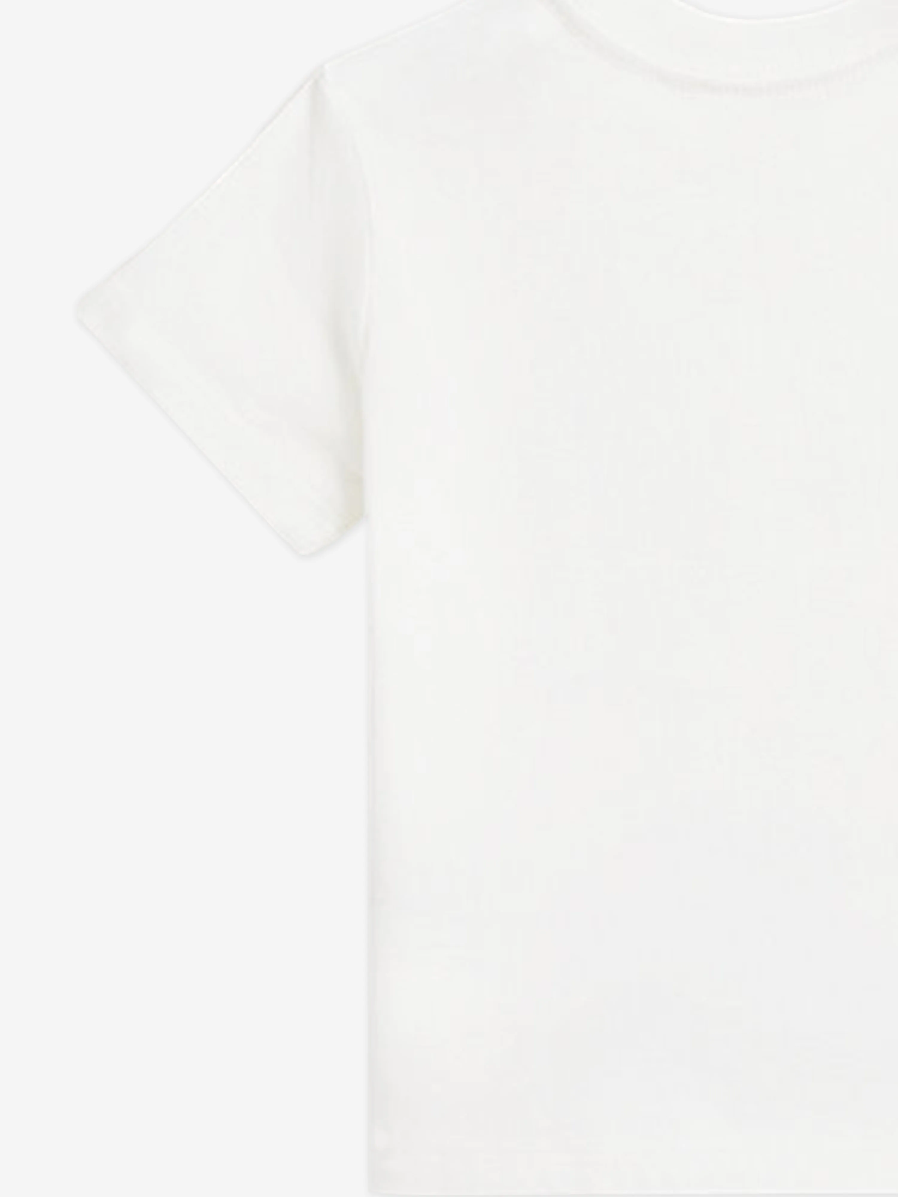 Boys Polo Bear T-Shirt in White