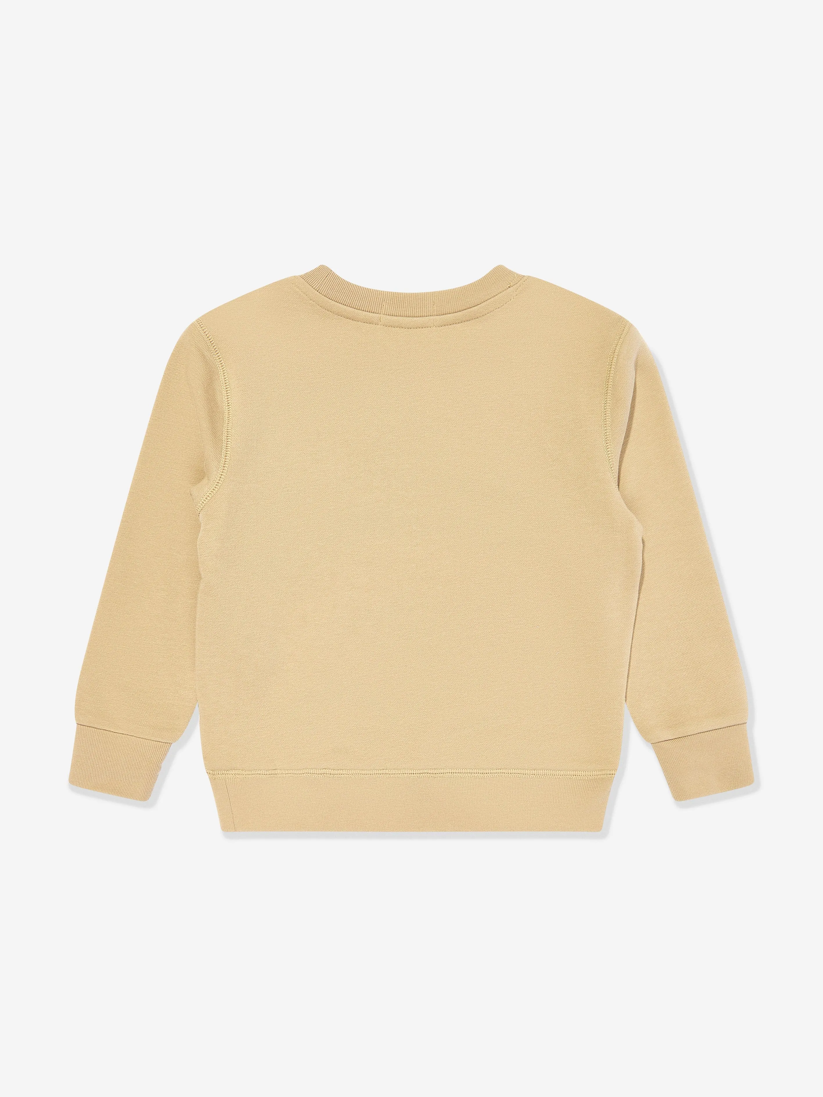 Boys Polo Sweatshirt in Beige