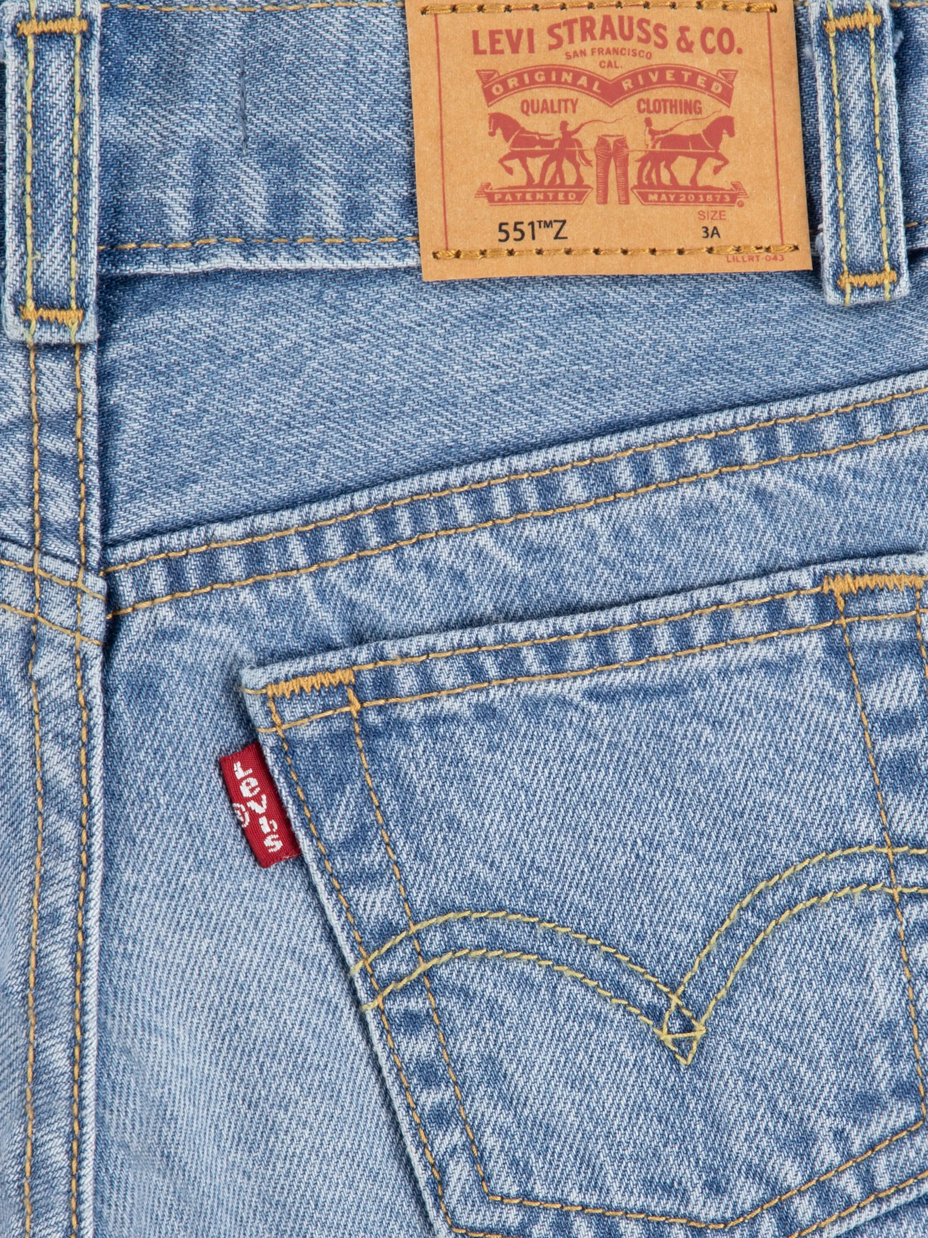 Boys Skate Shorts in Blue