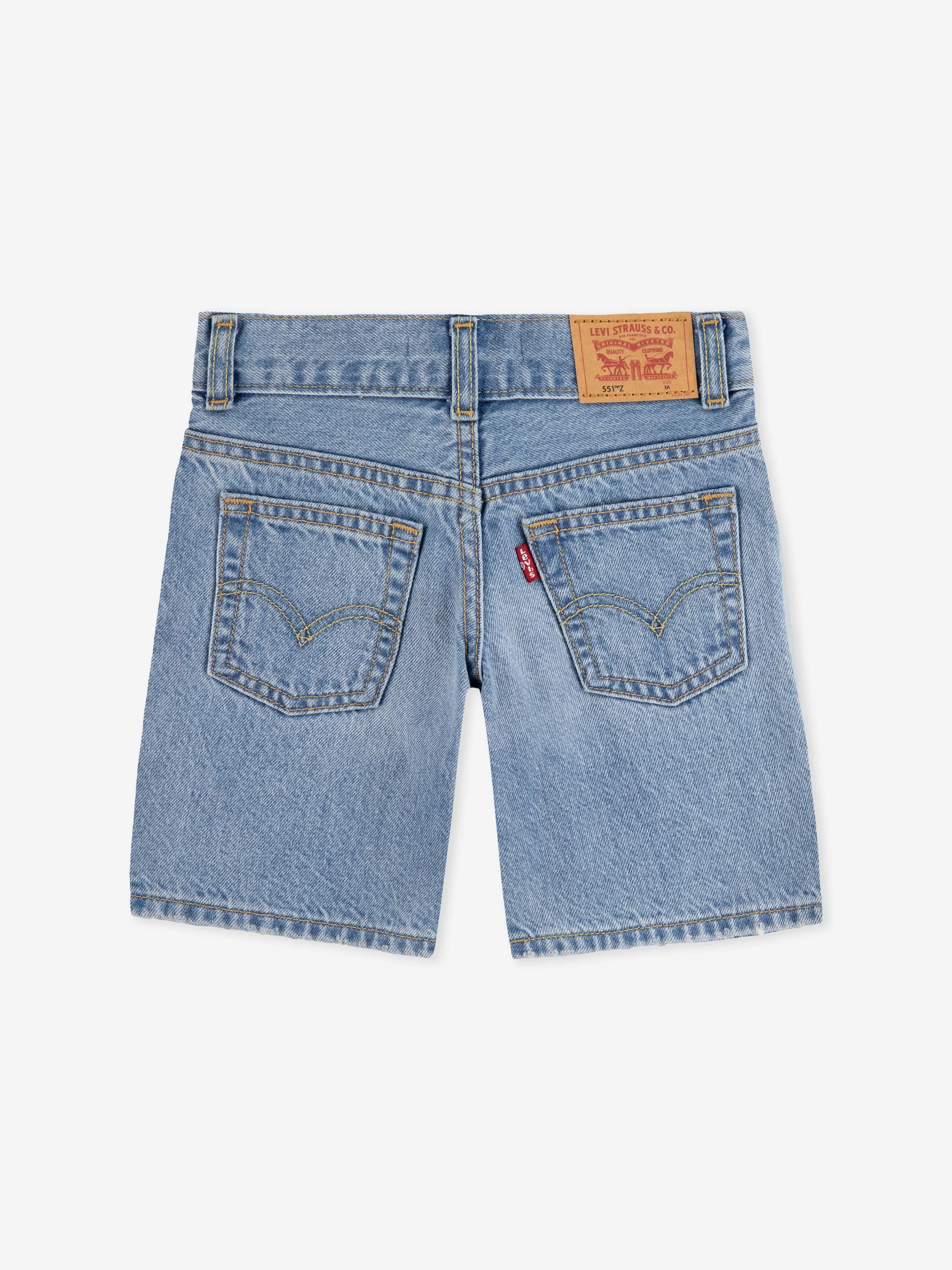 Boys Skate Shorts in Blue