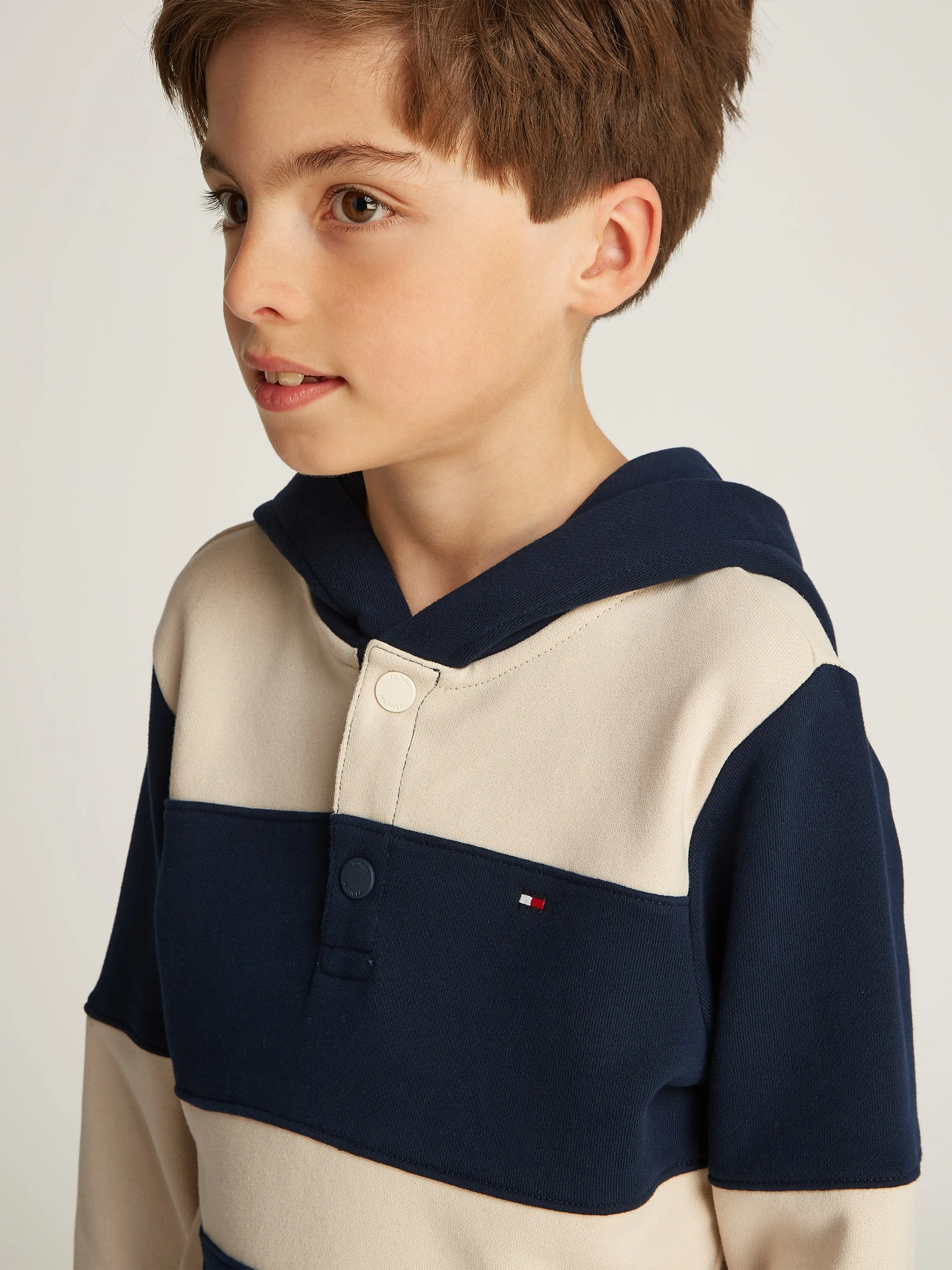 Boys Striped Regular Hoodie in Multicolour
