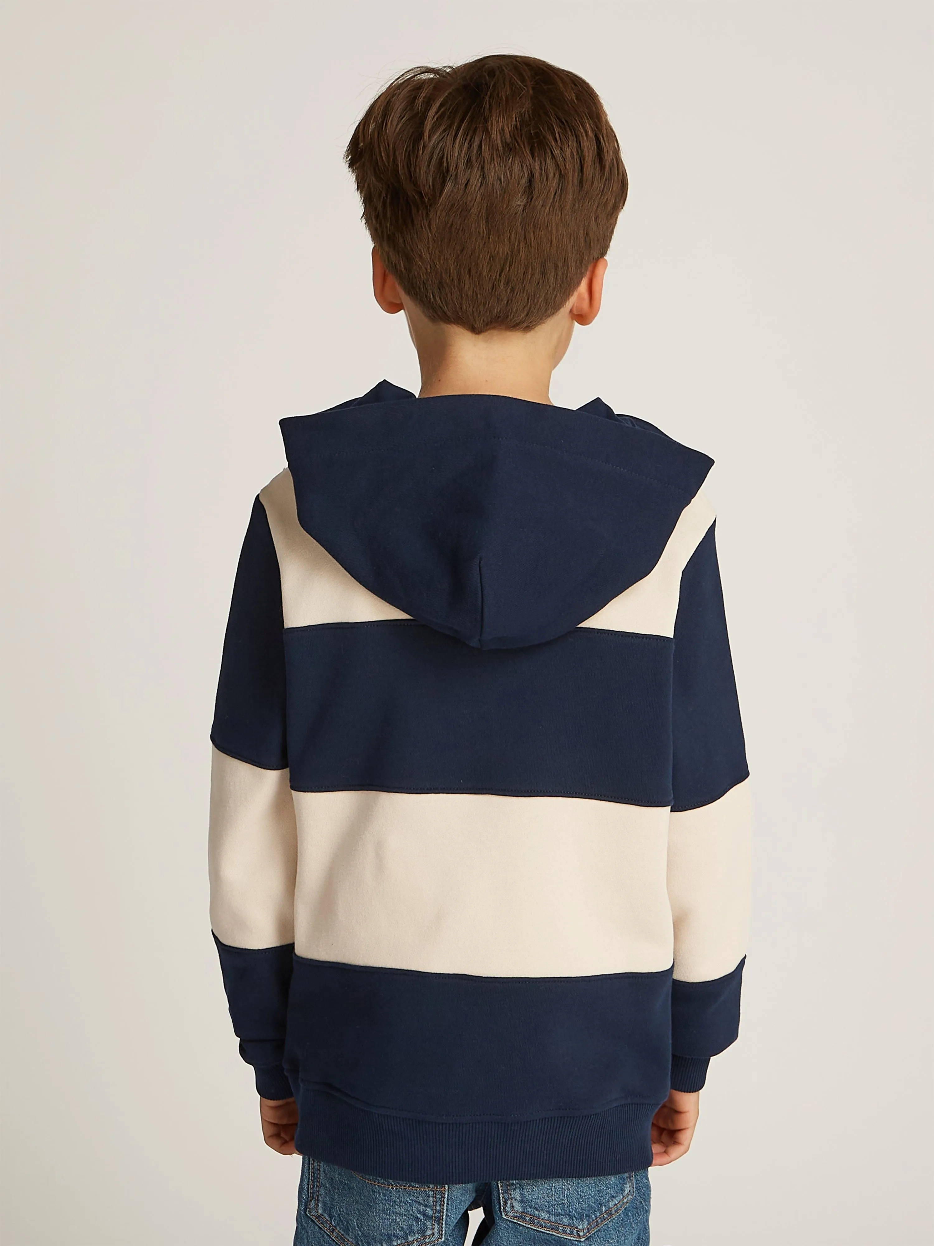 Boys Striped Regular Hoodie in Multicolour