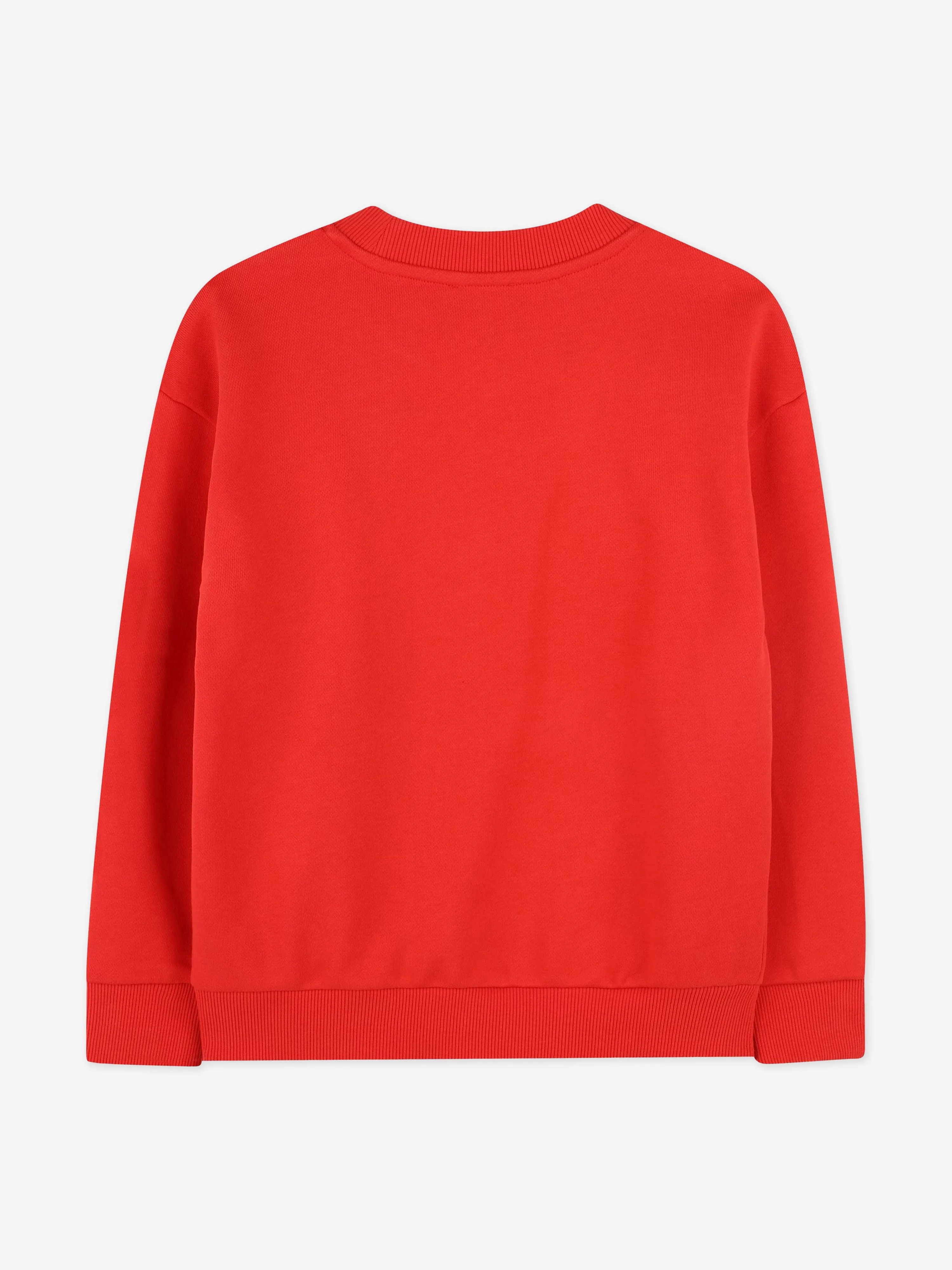 Boys Tiger Sweatshirt in Red