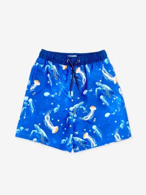 Boys Turtle Beach Shorts in Blue (UPF50 )