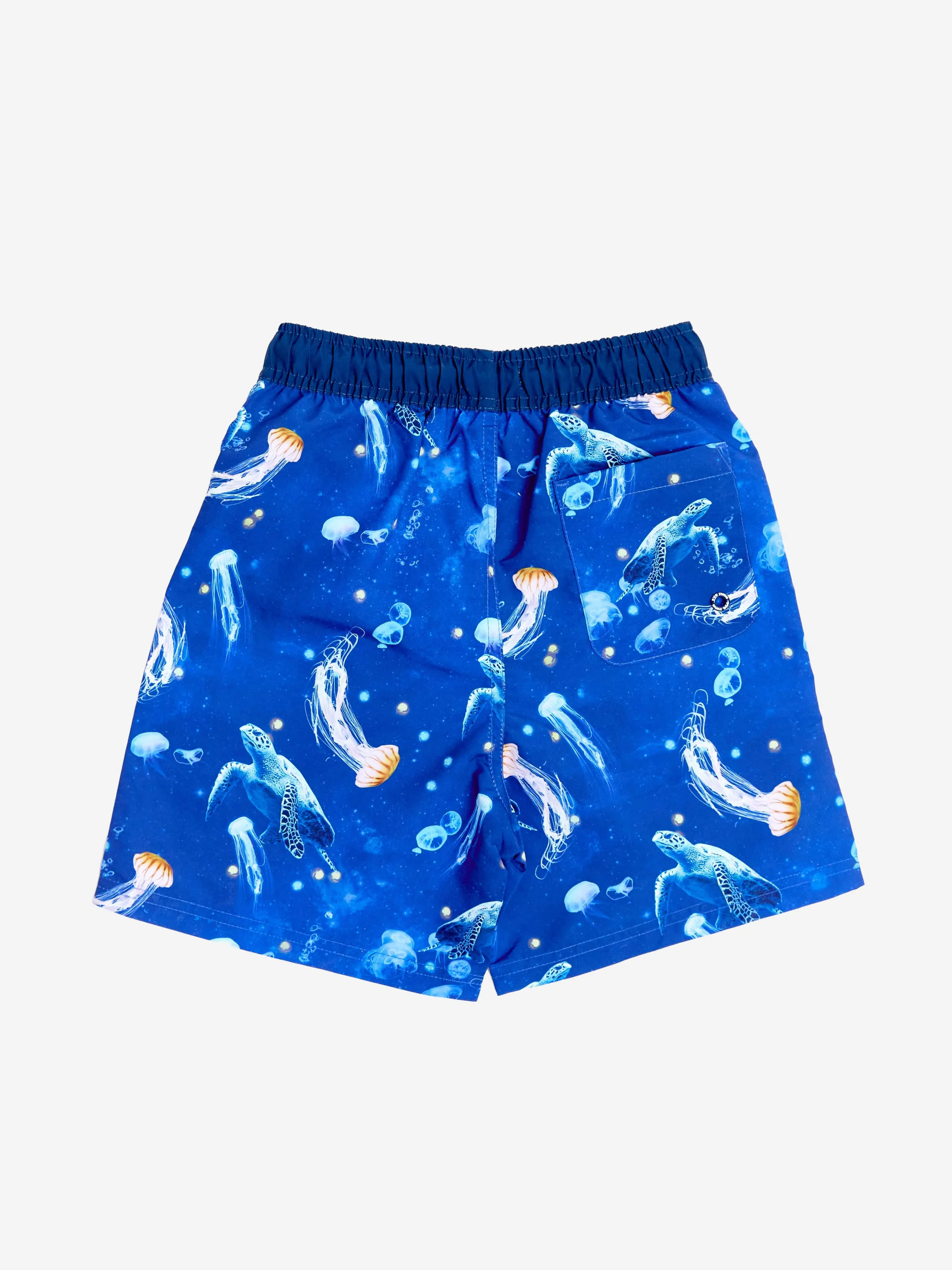 Boys Turtle Beach Shorts in Blue (UPF50 )