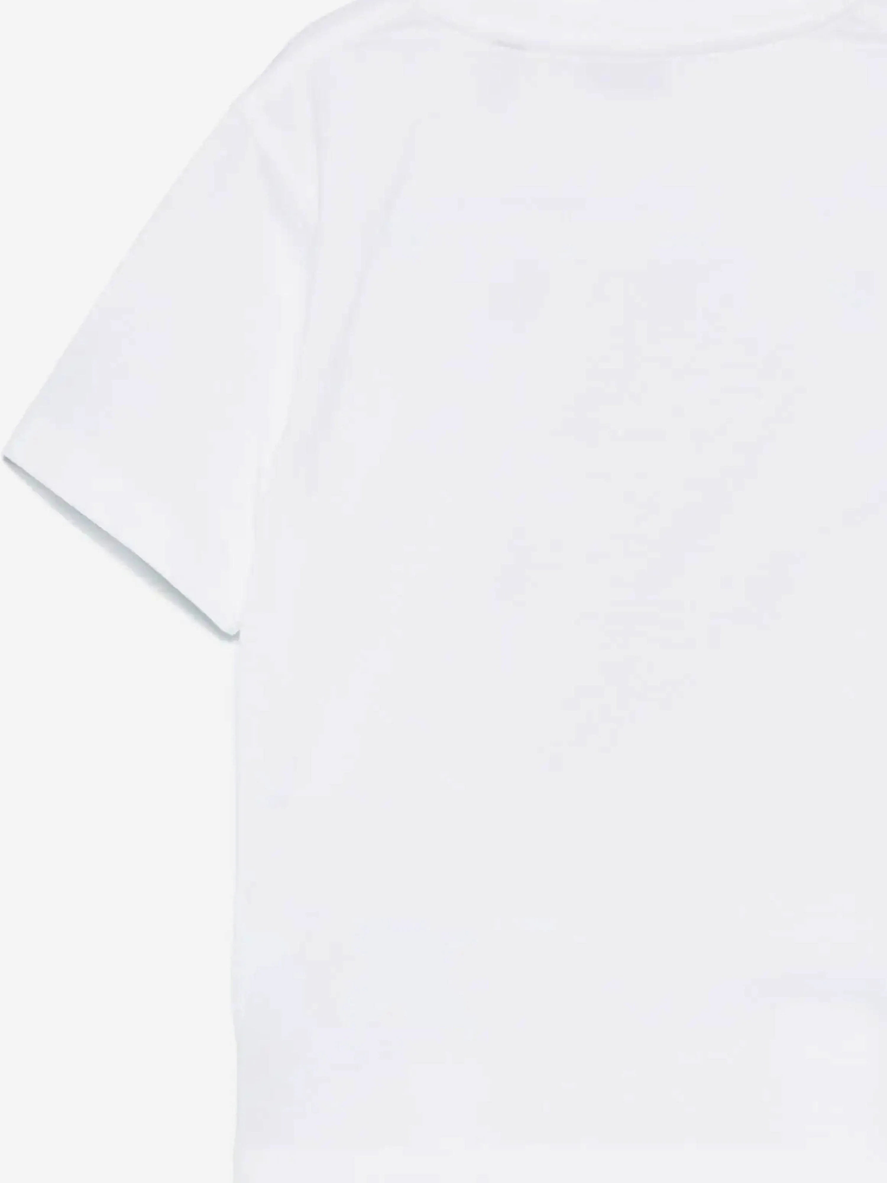 Burberry Kids Cedar Bear Flag T-Shirt in Ivory