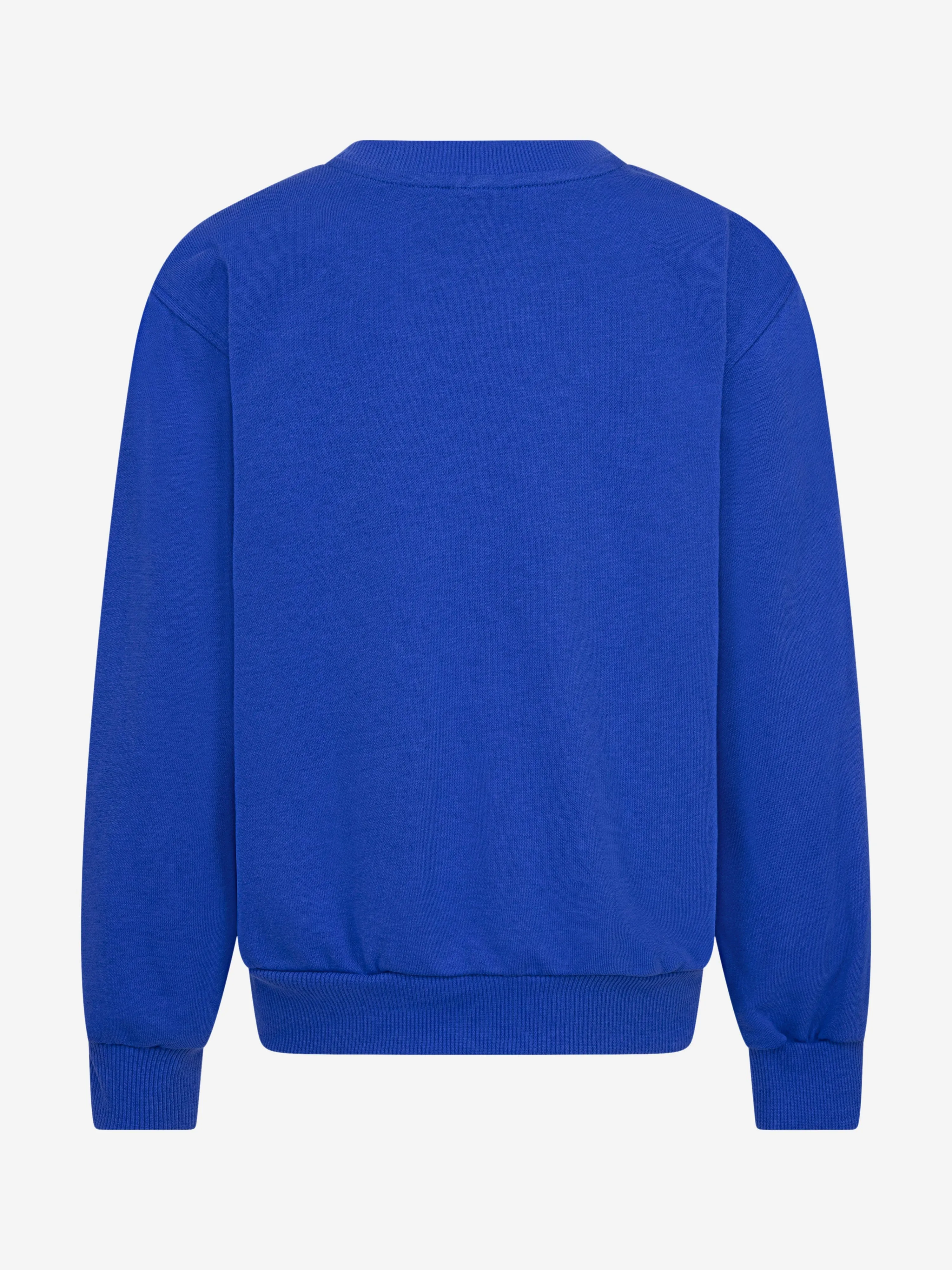 Girls Logo Sweashirt in Blue