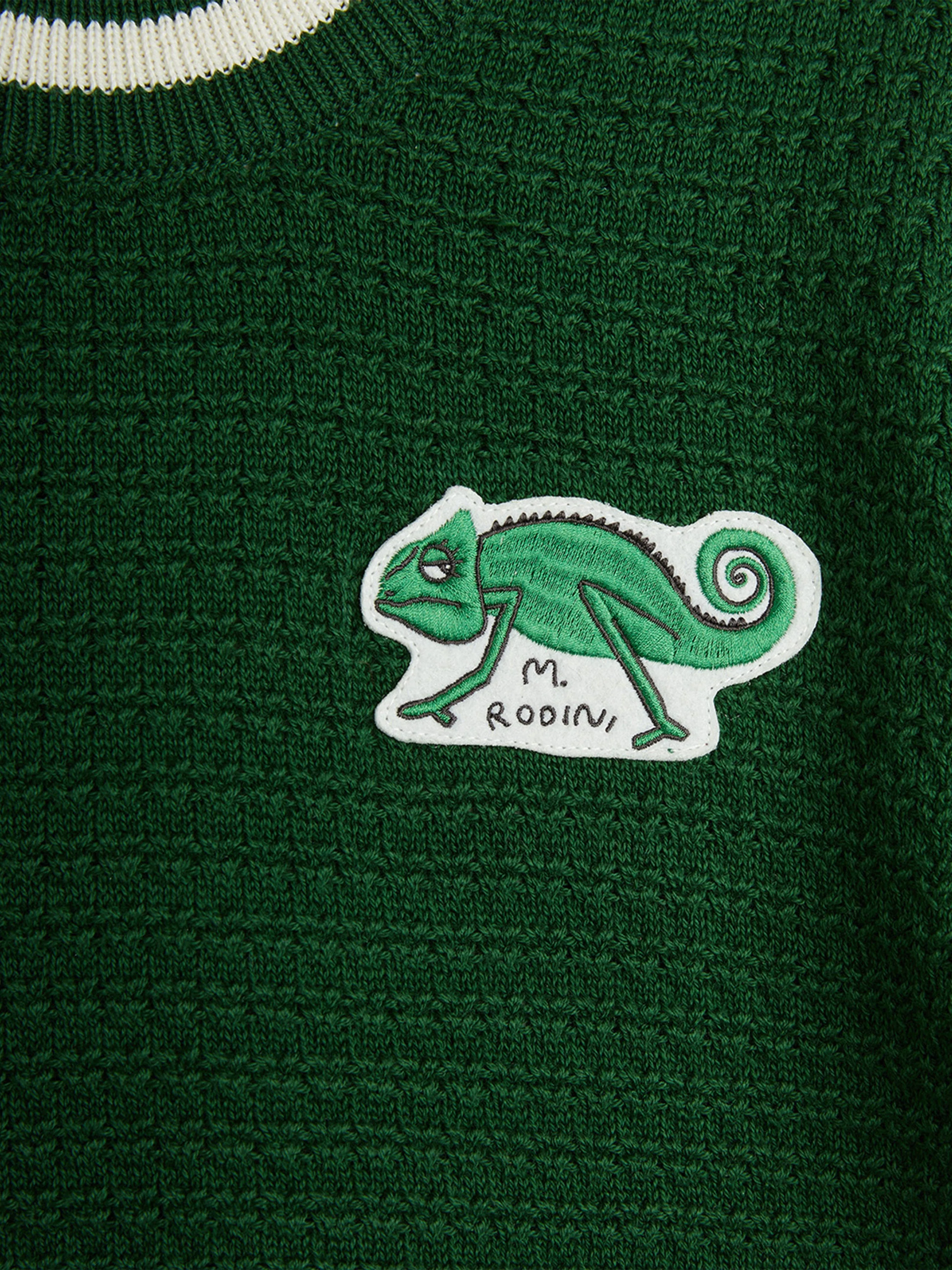 Kids Lizard Patch Crochet Knit T-Shirt in Green
