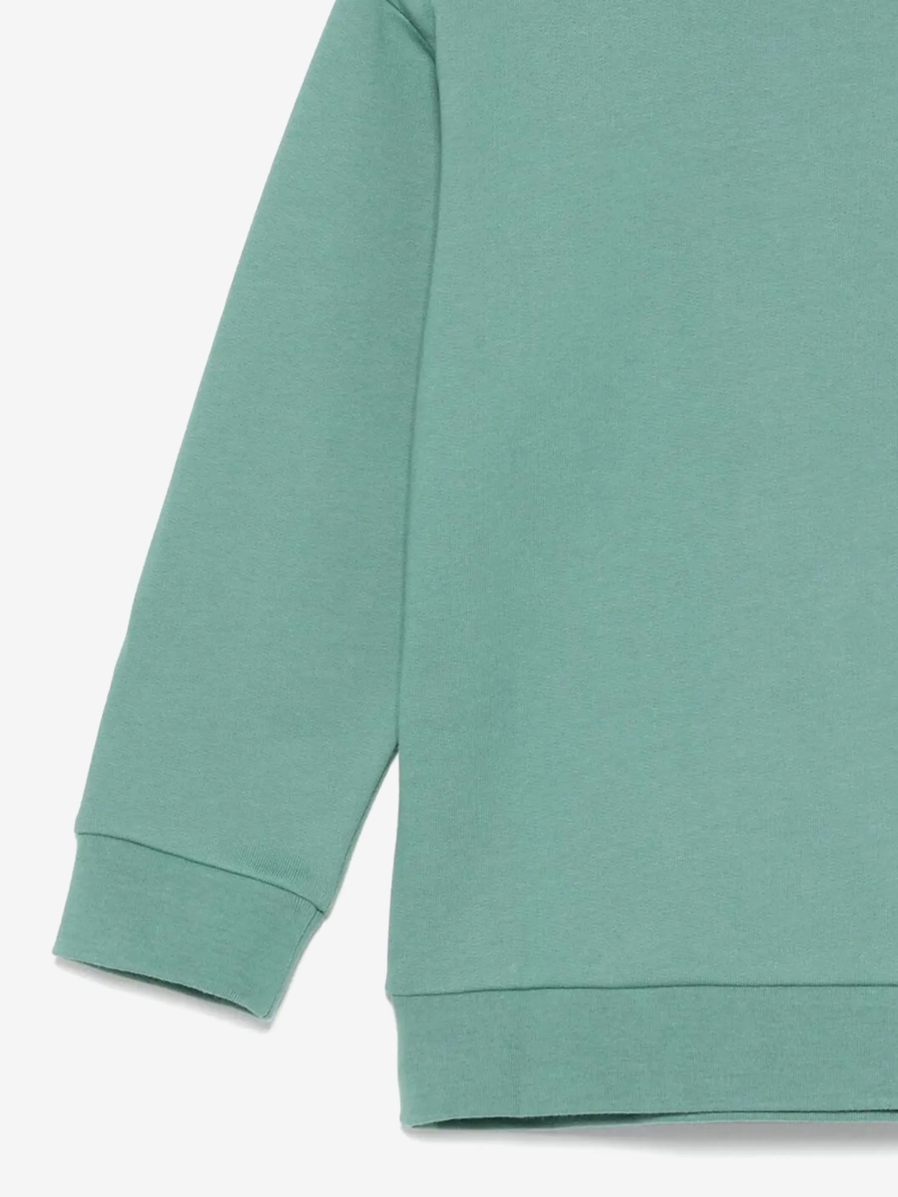 Kids Logo Sweatshirt in Green