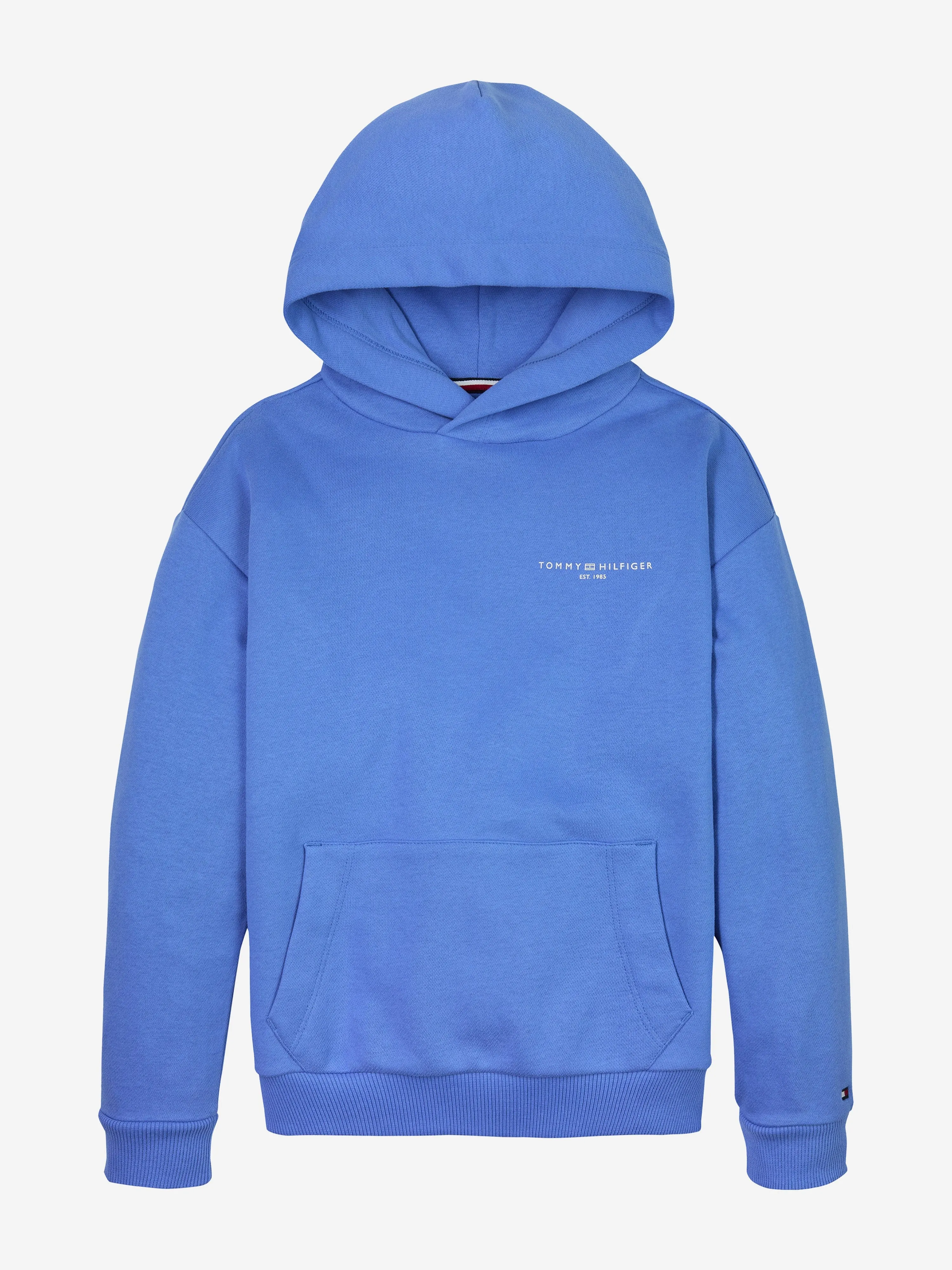 Kids Mini Corp Logo Hoodie in Blue