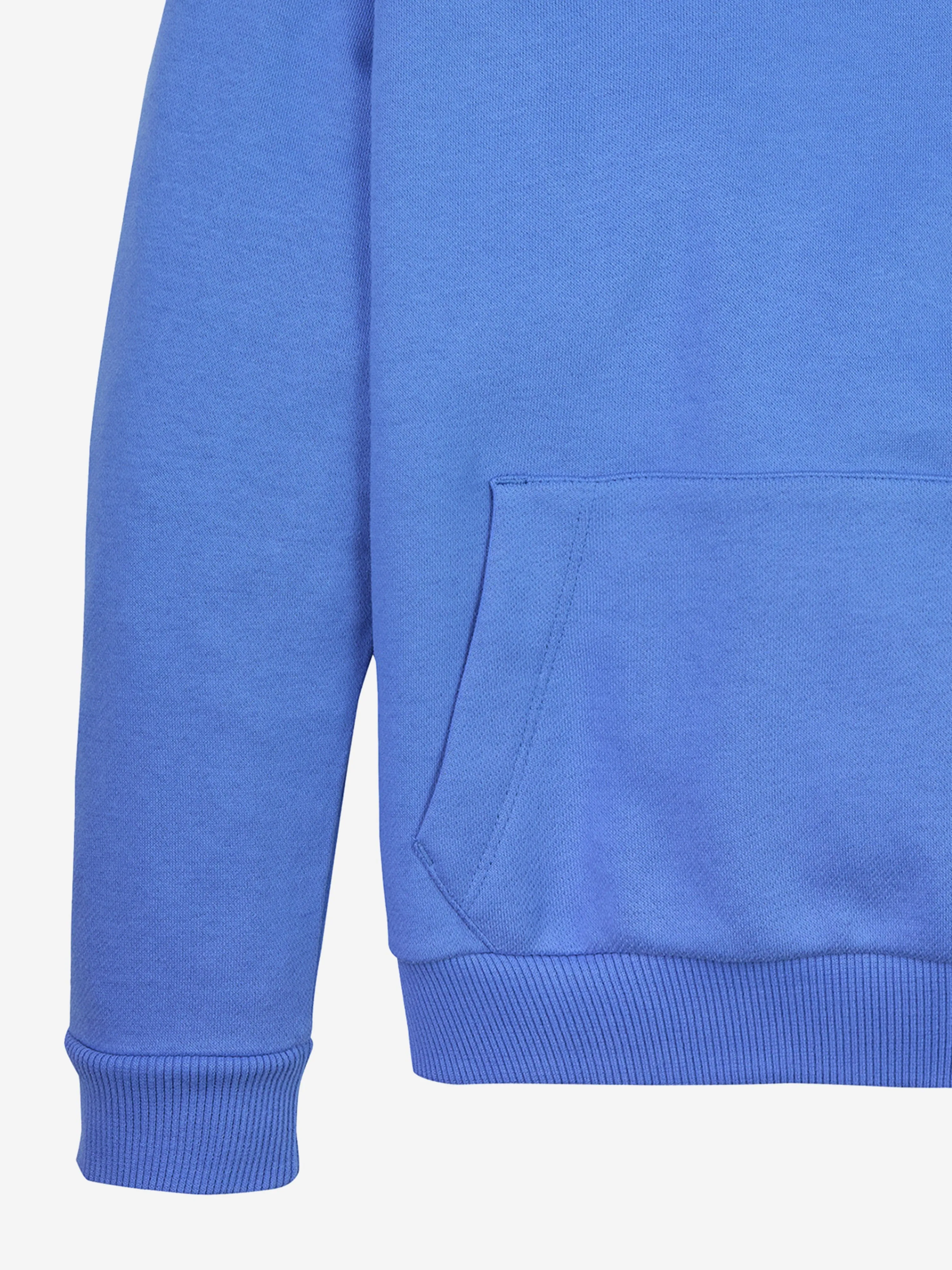 Kids Mini Corp Logo Hoodie in Blue