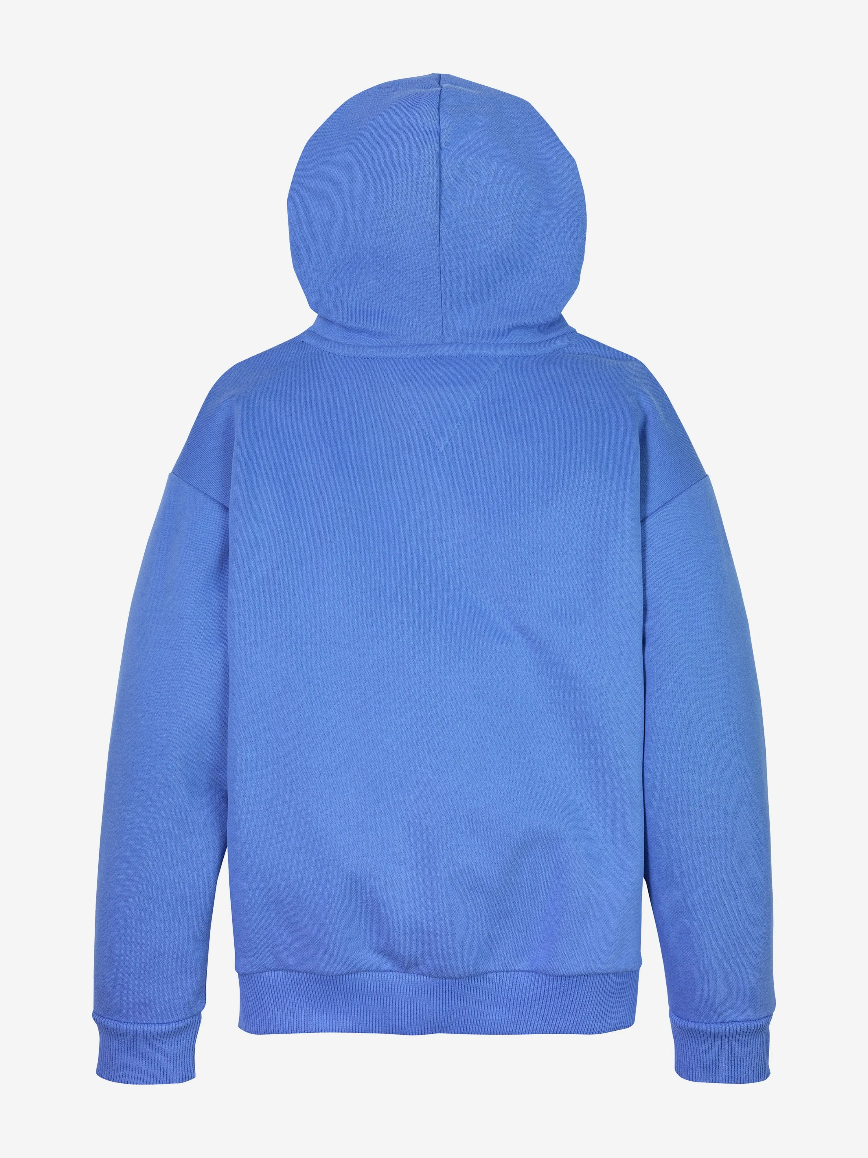 Kids Mini Corp Logo Hoodie in Blue