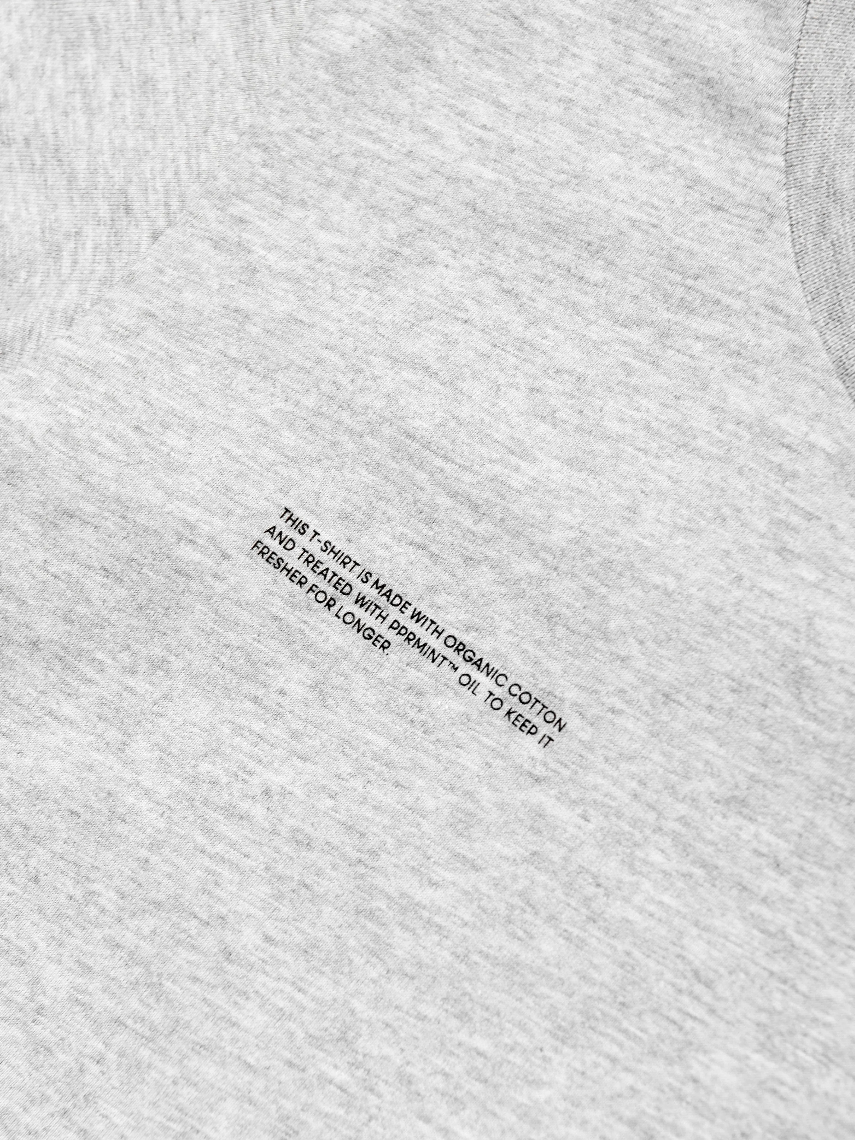 PANGAIA Kids 365 Midweight T-Shirt in Grey