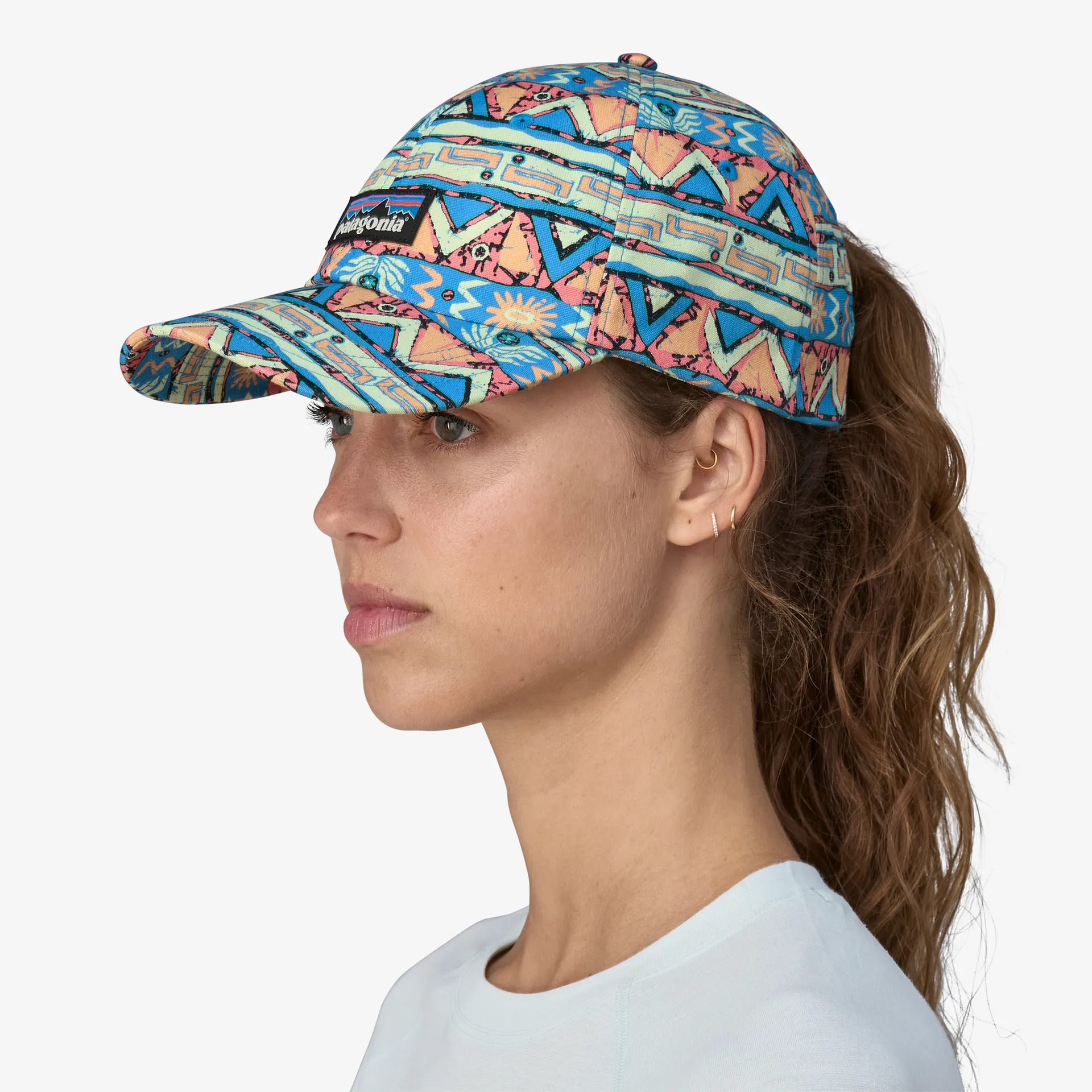 Patagonia Womens Hats & Accessories P-6 Label Trad Cap