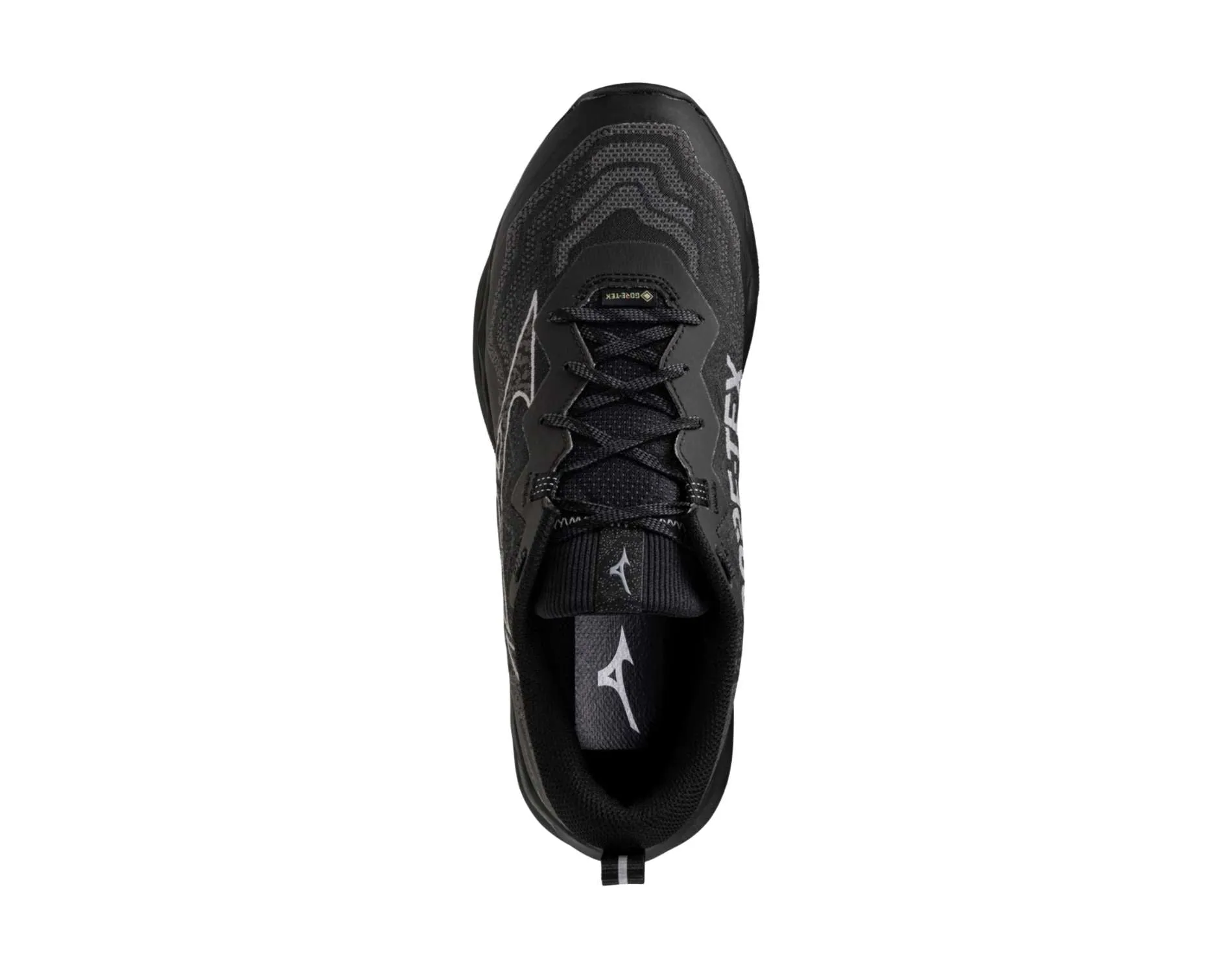 Shoes Mizuno Mizuno Wave Daichi 9 GTX Mens Wide
