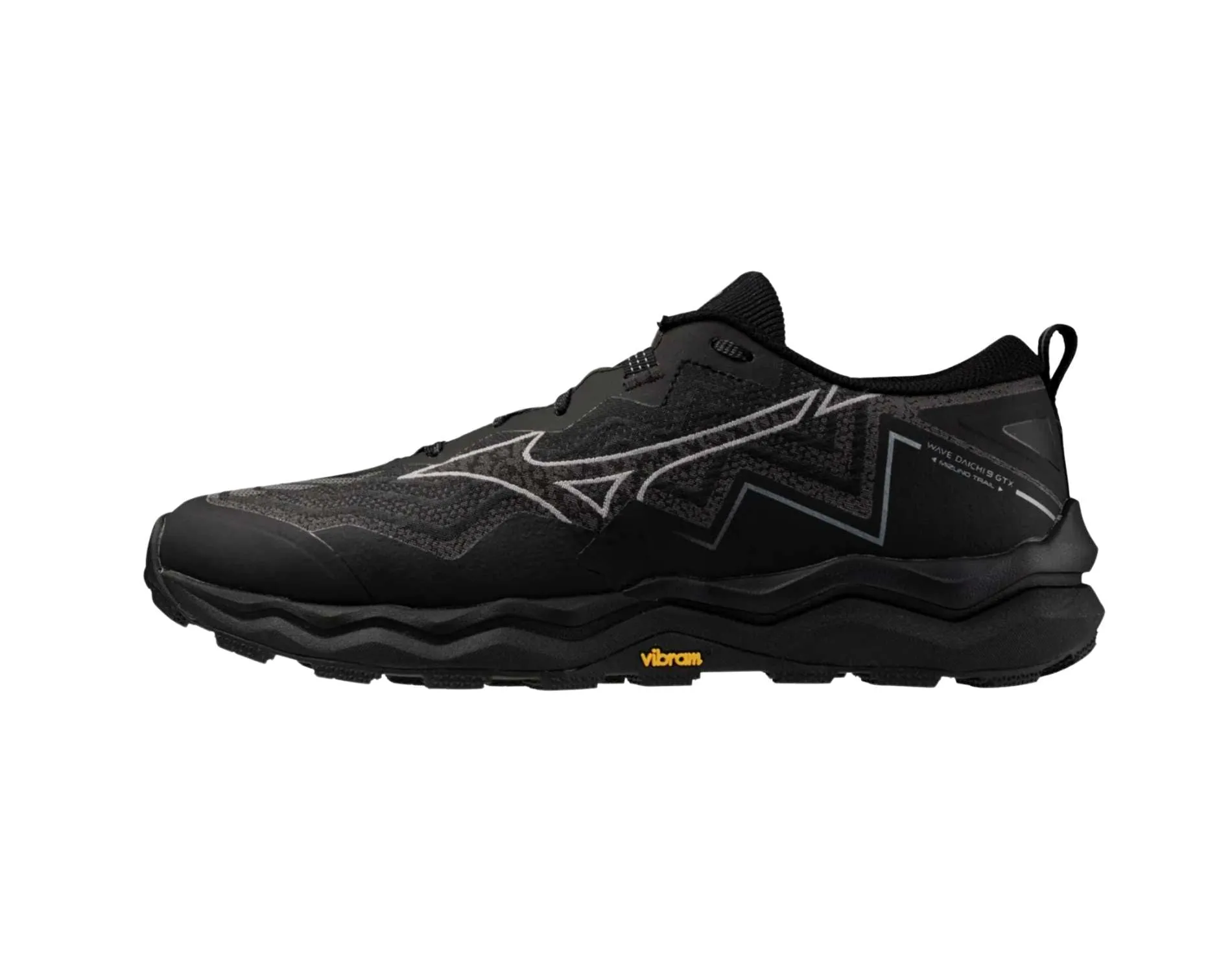 Shoes Mizuno Mizuno Wave Daichi 9 GTX Mens Wide