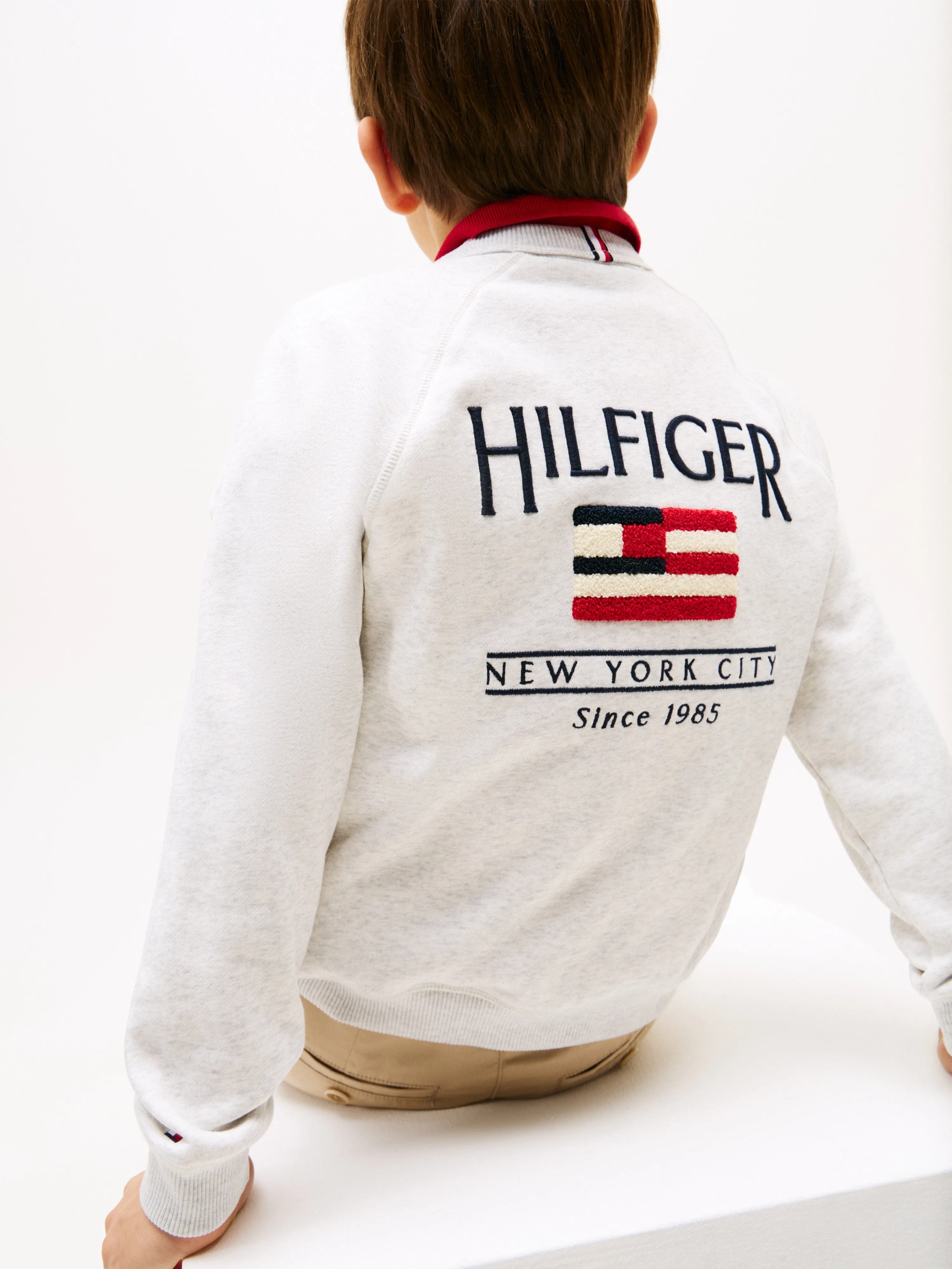 Tommy Hilfiger Boys Hilfiger Flag Relaxed Sweatshirt in Grey