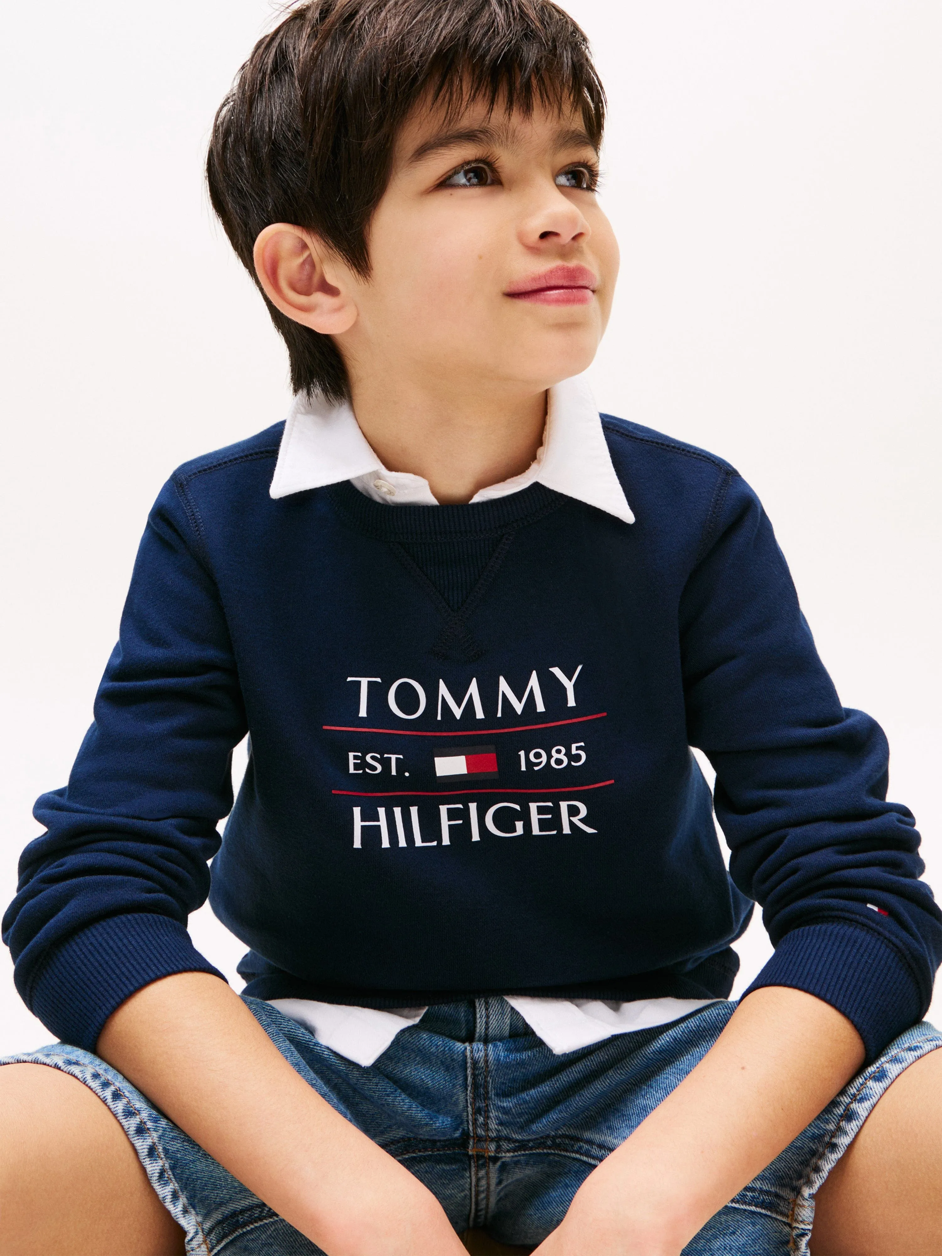 Tommy Hilfiger Boys Tommy Flag Sweatshirt in Navy